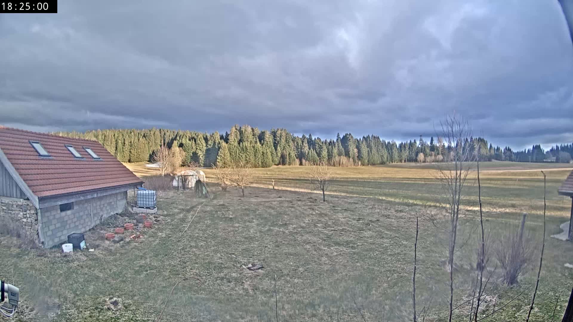 A red-roofed building sits beside a large field, beyond which is a dark forest under a cloudy sky.