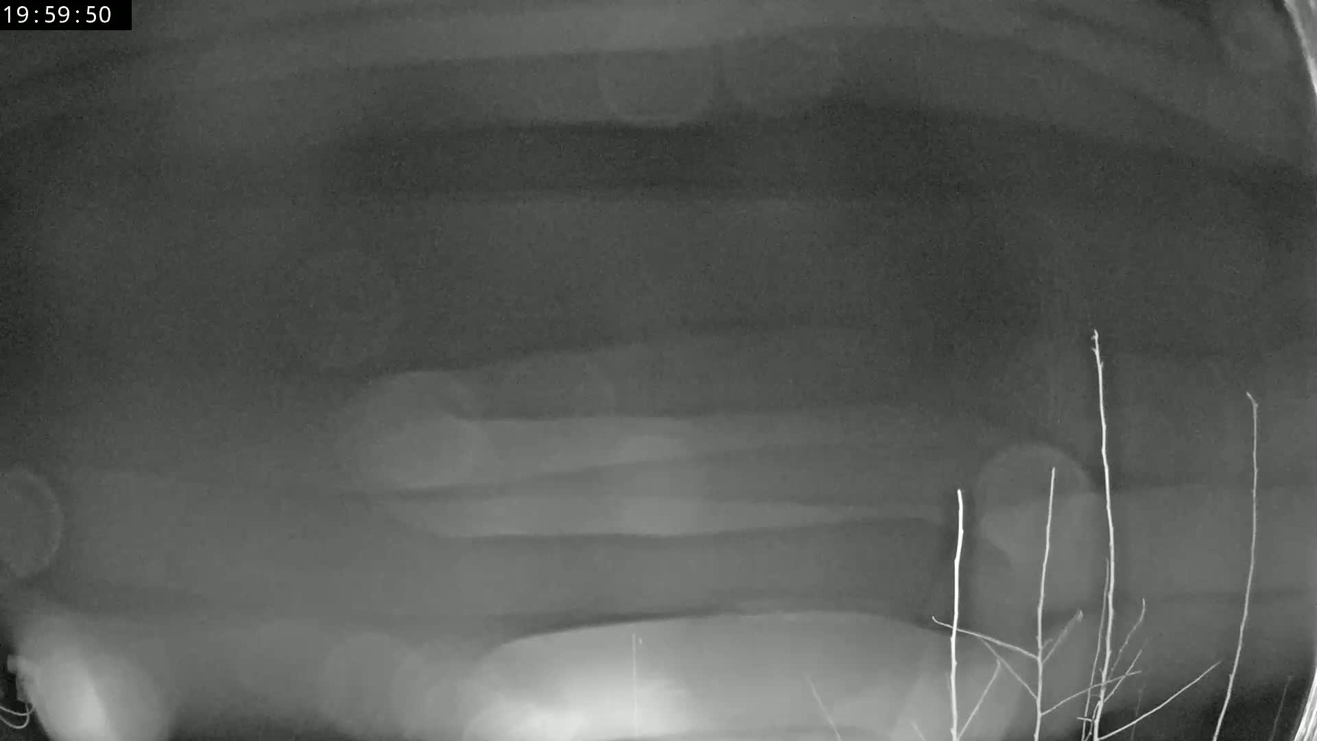 A blurry, grayscale image shows a dark, possibly nighttime scene of what appears to be a vehicle underneath a structure, partially obscured by vegetation at the bottom.
