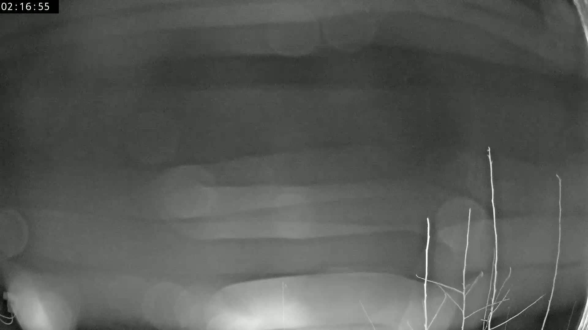 A blurry, grayscale nighttime image shows a dark vehicle, possibly a car, partially obscured by what appears to be low-hanging fog or mist, with thin branches visible in the bottom right corner.
