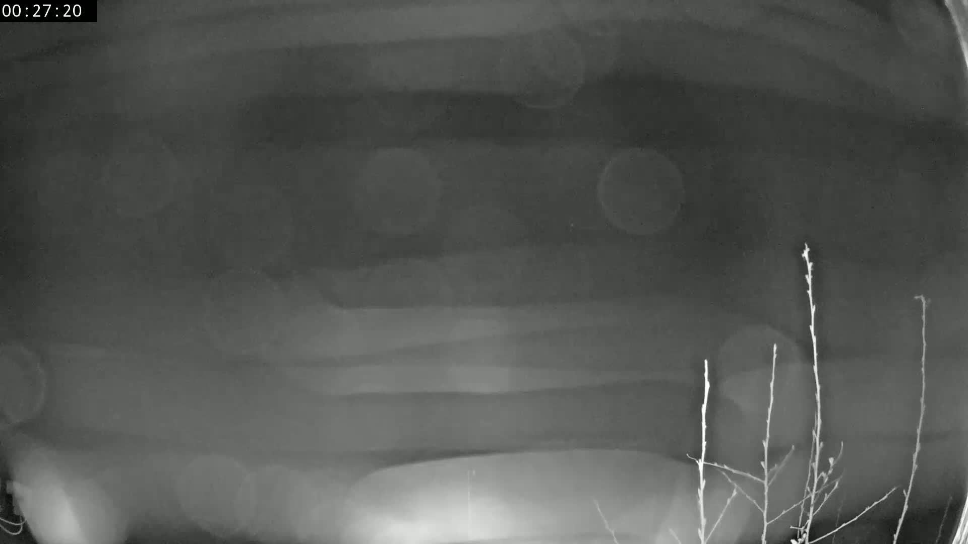 A blurry, grainy nighttime image shows a dark, possibly cloudy sky above a few thin, bare branches.