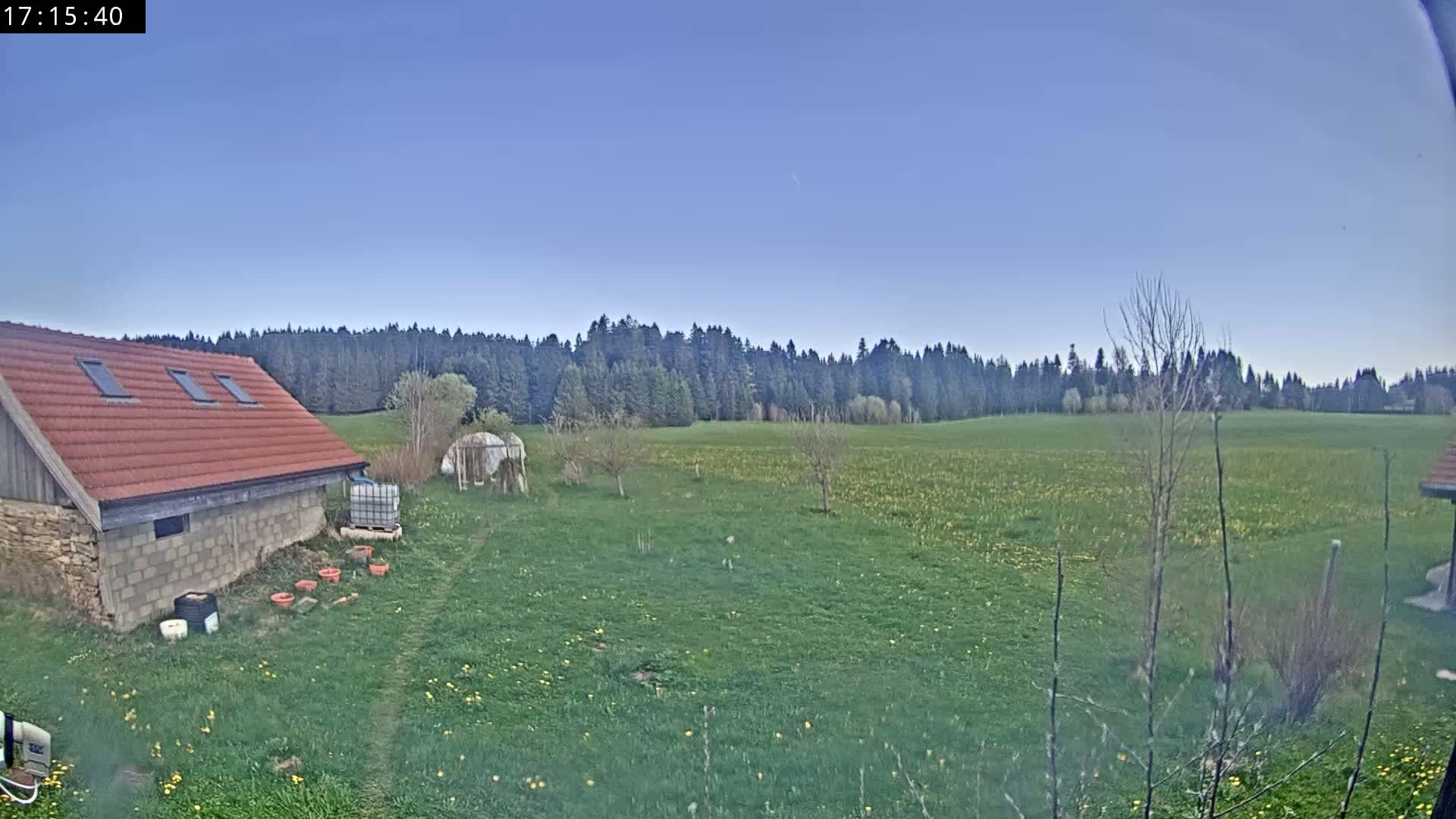 A red-roofed stone building sits near a large green field dotted with yellow flowers, bordered by a dark green forest under a clear blue sky.
