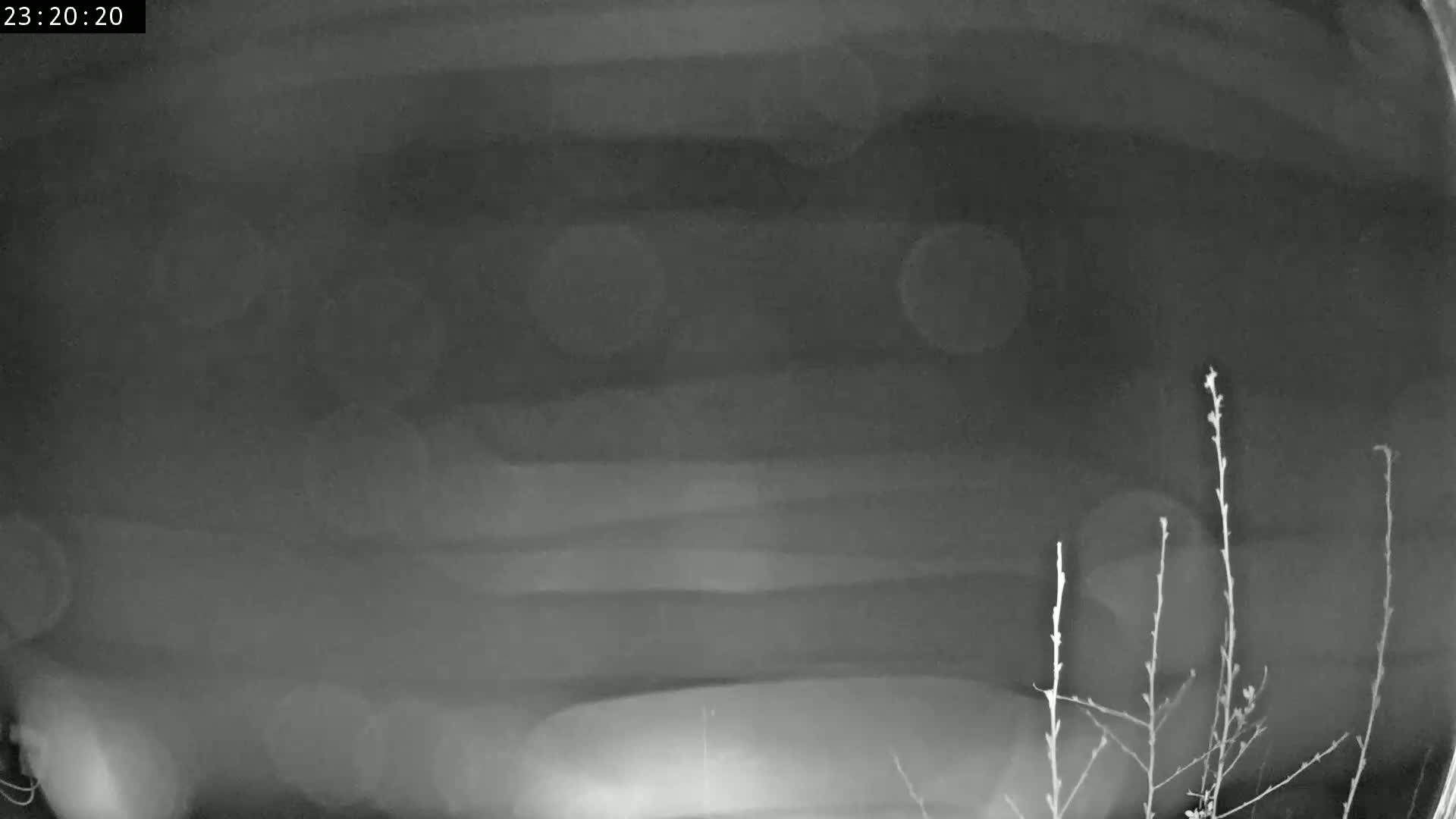 A blurry, nighttime image shows a dark, overcast sky above bare branches.