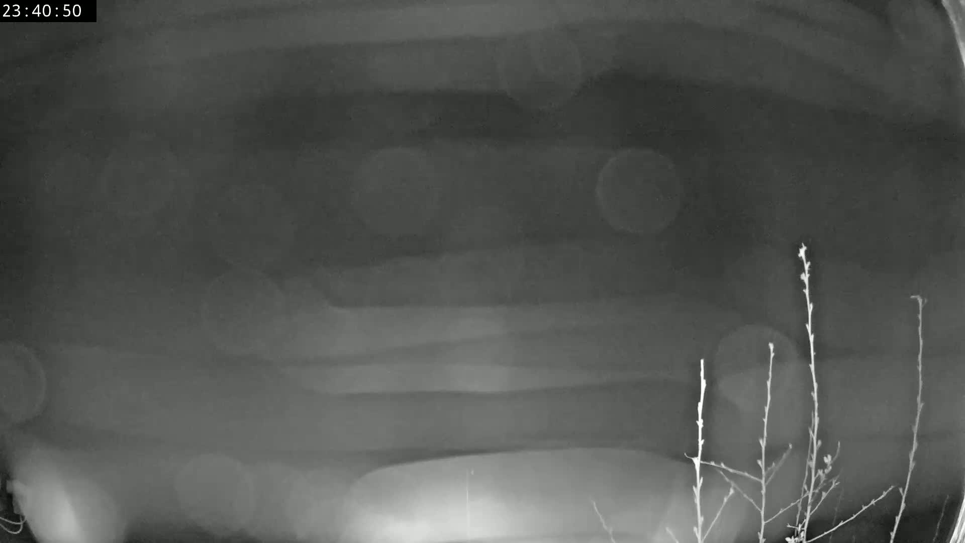 A nighttime, blurry view shows a dark sky and indistinct objects, possibly vegetation, in the lower right corner.