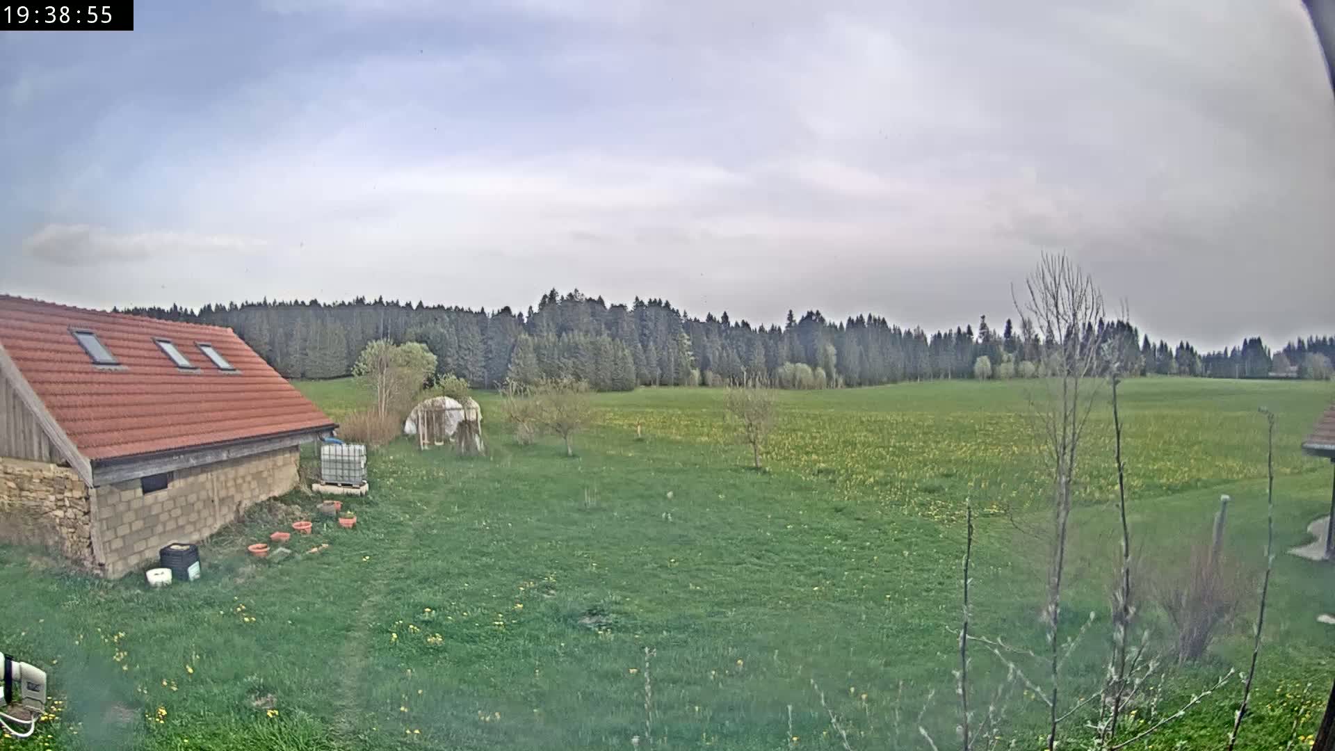 A red-roofed outbuilding sits on a grassy yard, overlooking a field speckled with yellow flowers and a distant line of trees under an overcast sky.