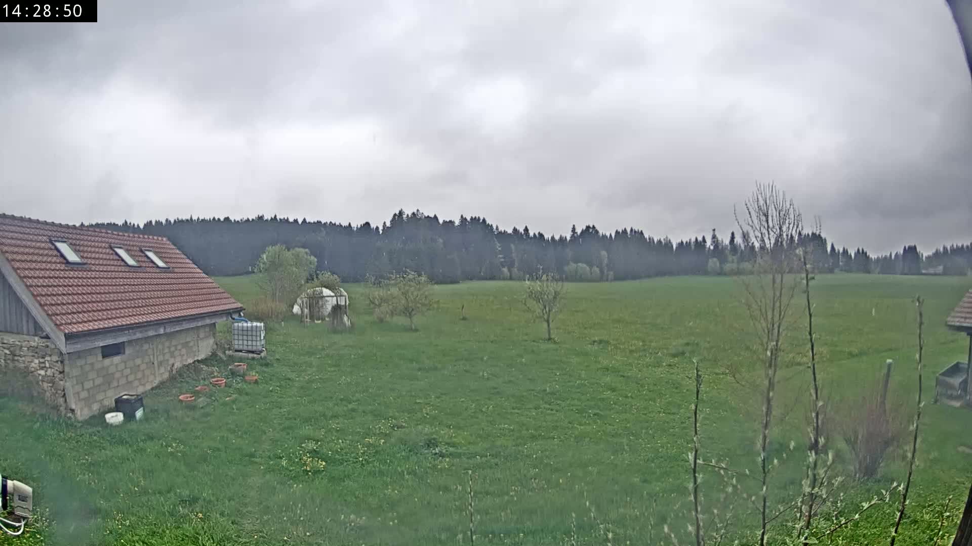 A red-roofed building sits on a grassy yard overlooking a large green field and a dark forest under a cloudy sky.