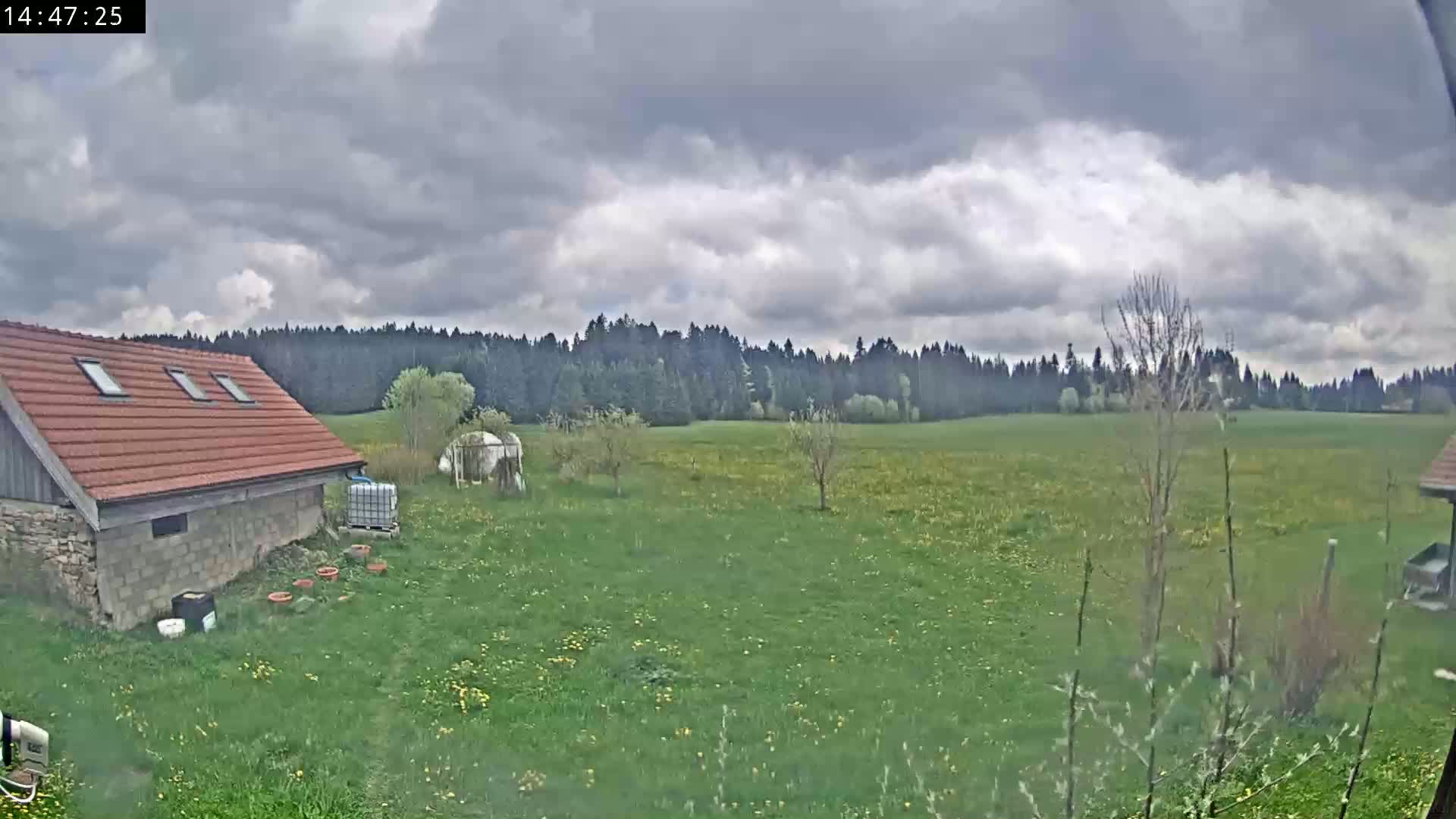 A red-roofed stone building sits in a grassy field dotted with dandelions, under a cloudy sky, with a dark forest in the background.