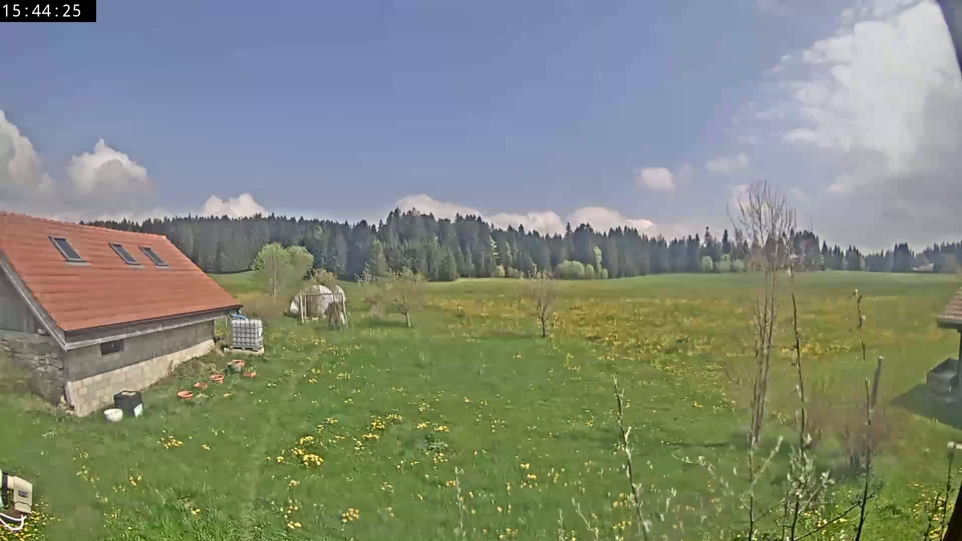 A red-roofed building sits on a grassy field speckled with yellow flowers, under a partly cloudy blue sky, with a dark forest in the background.
