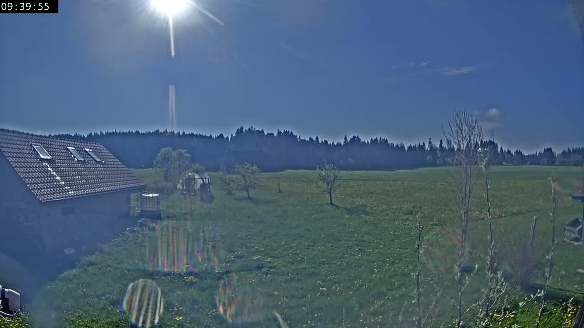 A sunny day reveals a field of green grass dotted with yellow flowers, a building with a brown roof, and a line of dark trees in the distance.