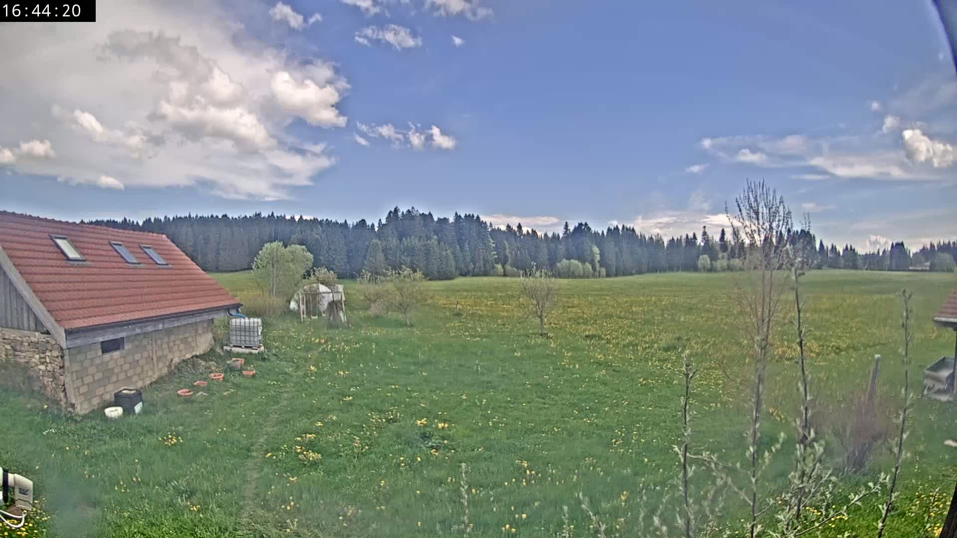 A partly cloudy sky overlooks a grassy field dotted with yellow flowers, a red-roofed building, and a dark forest in the background.