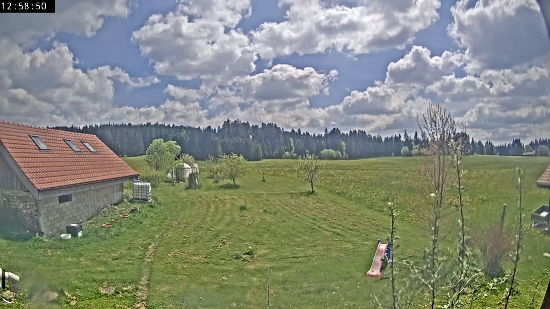 A partly cloudy sky overlooks a grassy field with a small building, trees, and a pink slide.