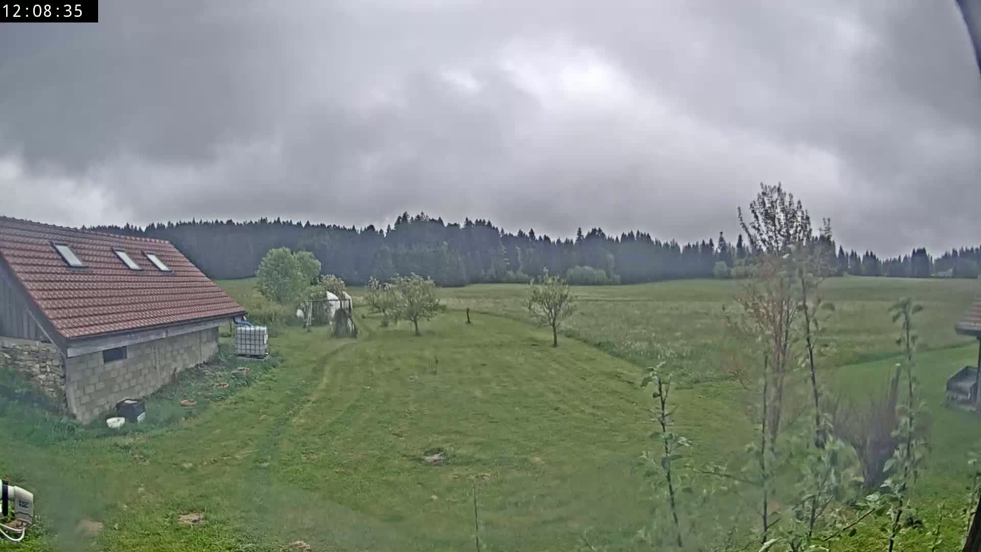 A red-roofed building sits on a grassy yard, overlooking a field and a dark forest under an overcast sky.
