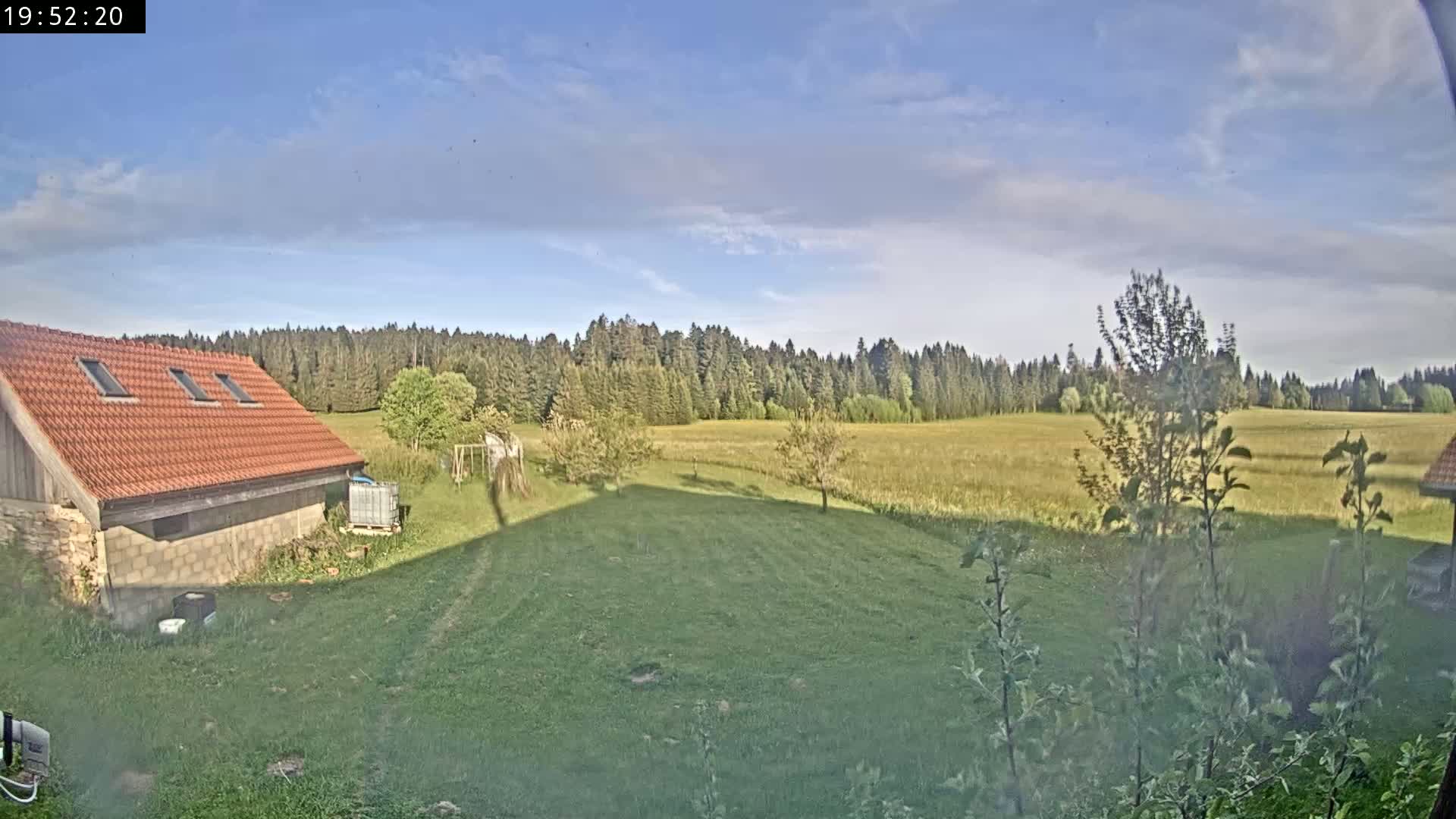 A partly sunny day reveals a red-roofed building and a grassy yard, beyond which lies a field and a dark forest under a mostly clear sky.