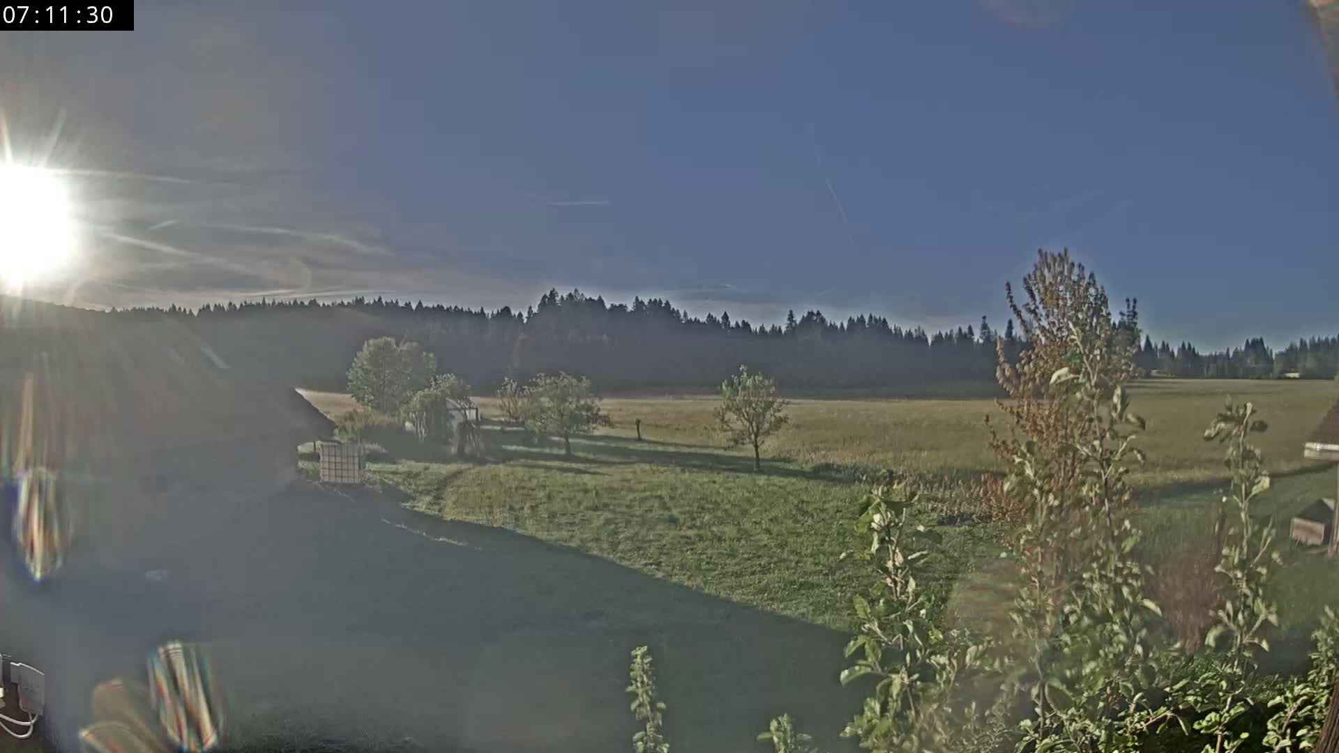 A sunny morning view shows a grassy field with a few trees and a distant line of woods, all seen from a slightly elevated vantage point near a building.