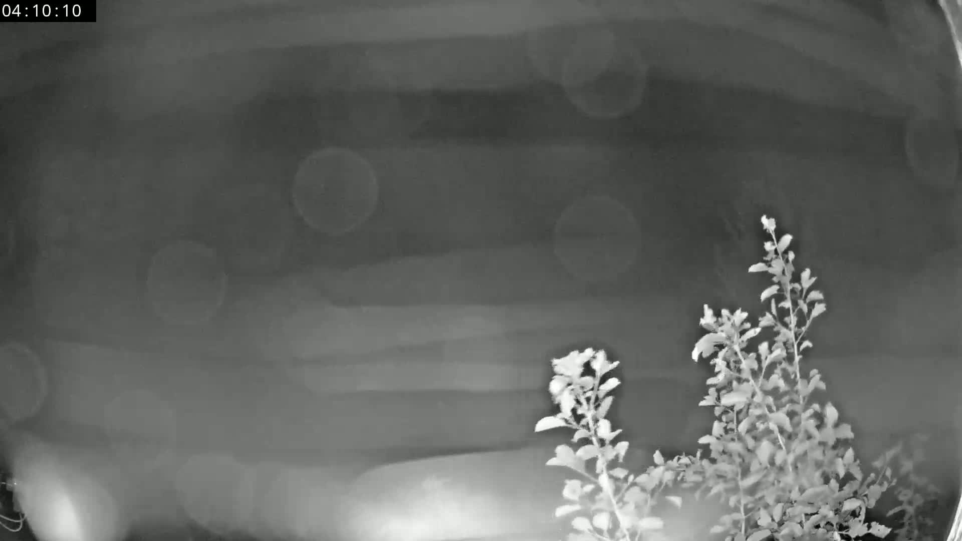 Les Fourgs, Haute Joux Live Cam - Pontarlier, Doubs, Bourgogne-Franche-Comté, France