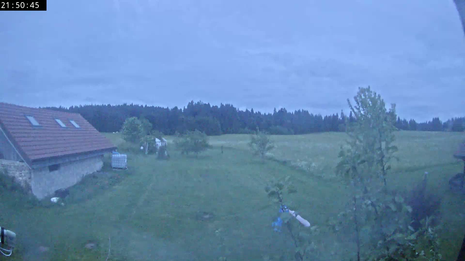 A low-light, overcast view shows a stone building with a red tile roof, a grassy field extending to a dark forest in the background.