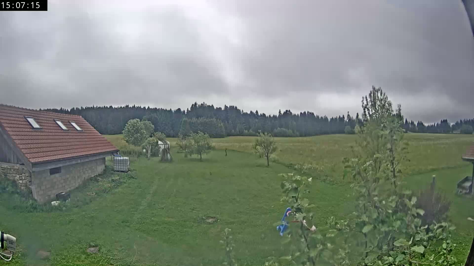 A red-roofed building sits on a grassy yard overlooking a field and a dark forest under an overcast sky.