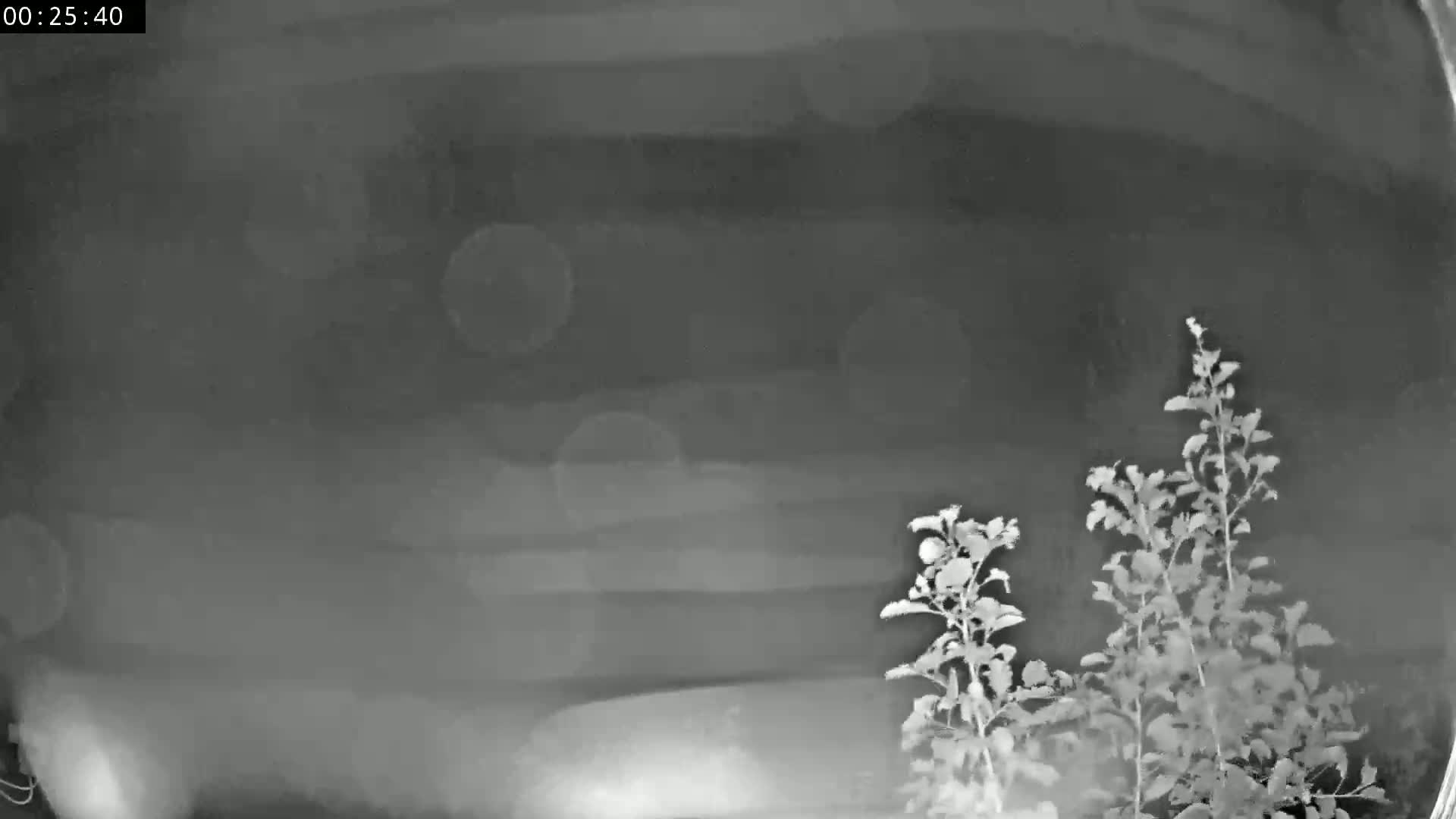 Les Fourgs, Haute Joux Live Cam - Pontarlier, Doubs, Bourgogne-Franche-Comté, France