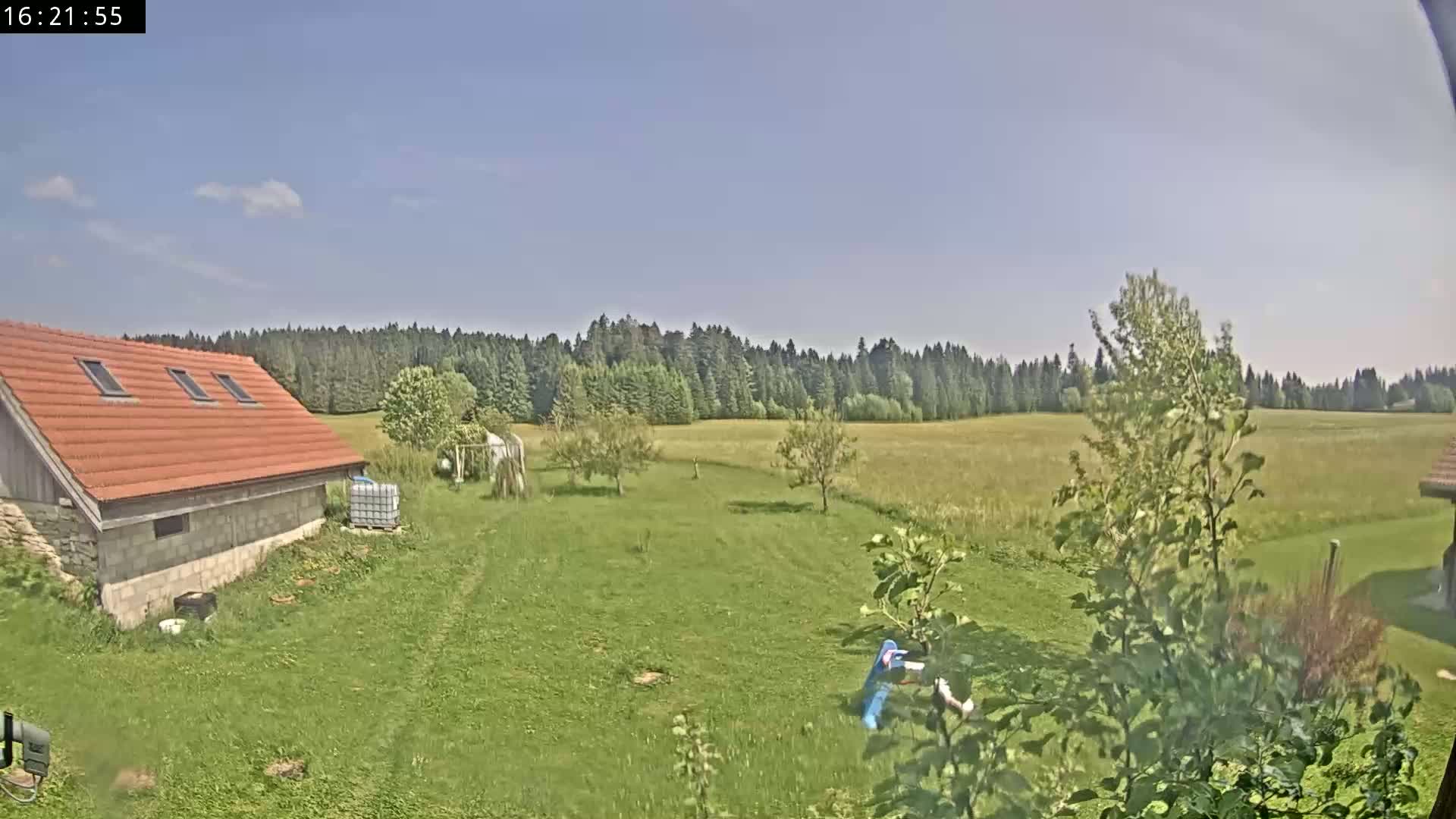 A person is seen playing in a grassy yard next to a red-roofed building under a mostly clear sky, with a forest in the background.