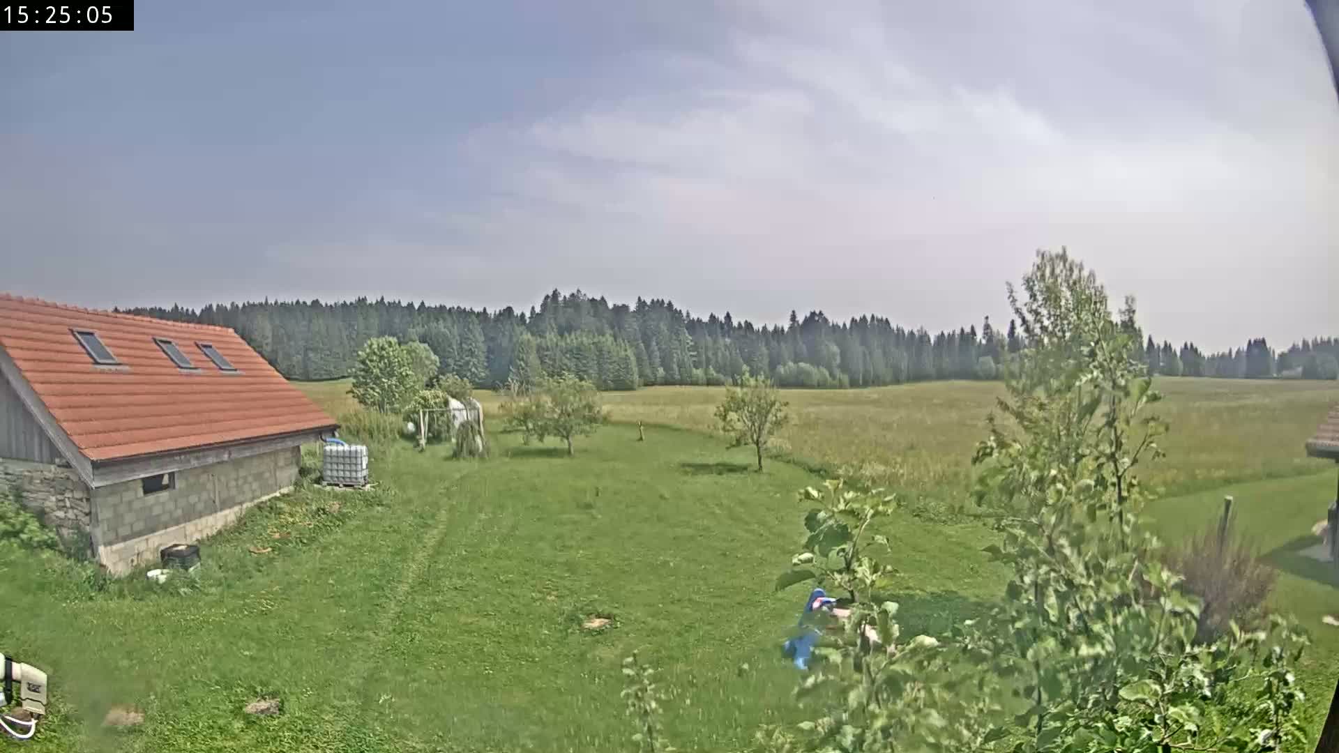 A partly sunny day reveals a grassy yard with a red-roofed building, a few trees, and a field extending to a line of trees in the background.