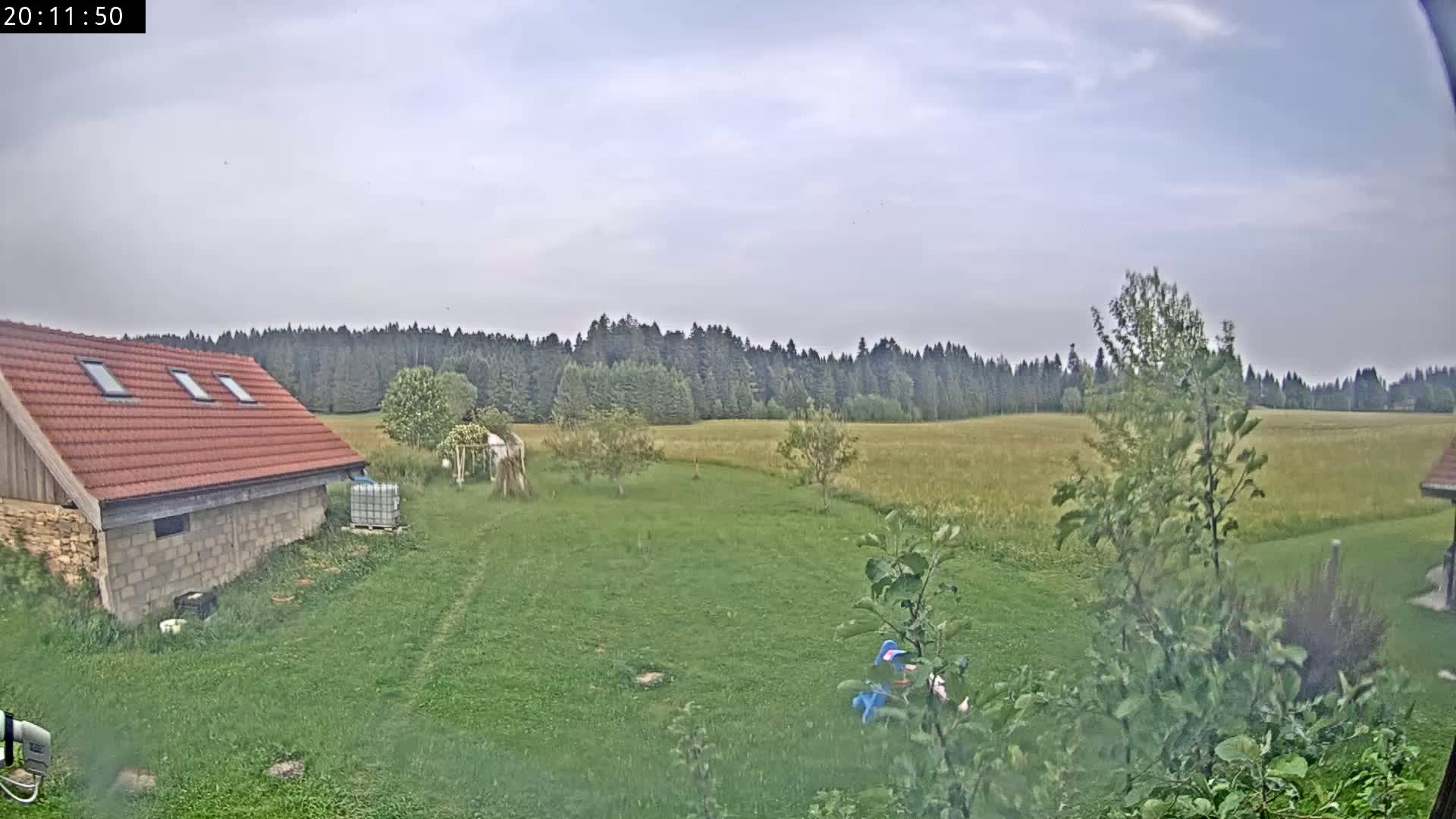 A red-roofed building sits on a grassy yard overlooking a golden field bordered by a dark green forest under an overcast sky.