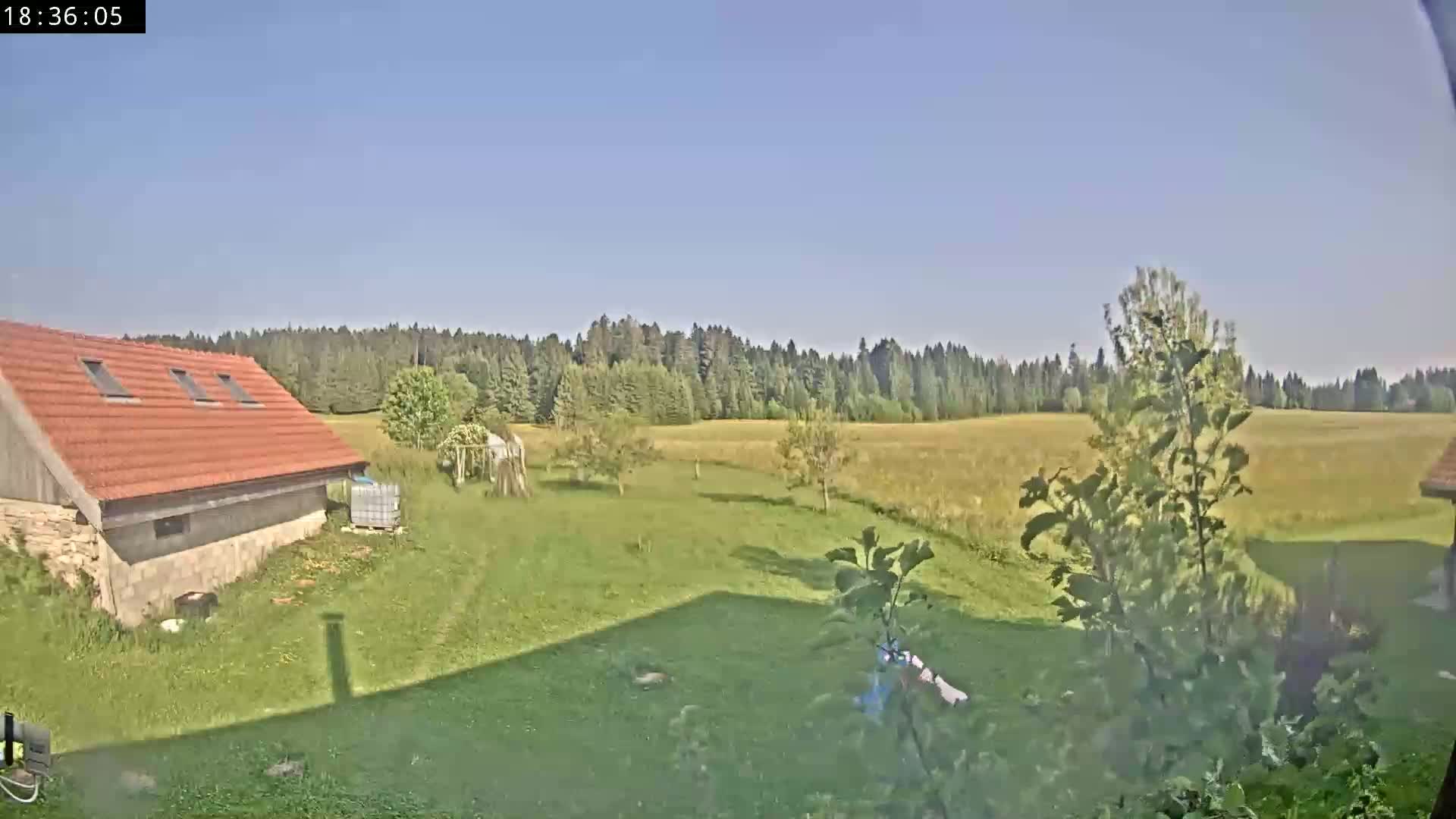 A red-roofed building sits on a grassy yard, with a large field and a forest visible in the background under a clear, sunny sky.