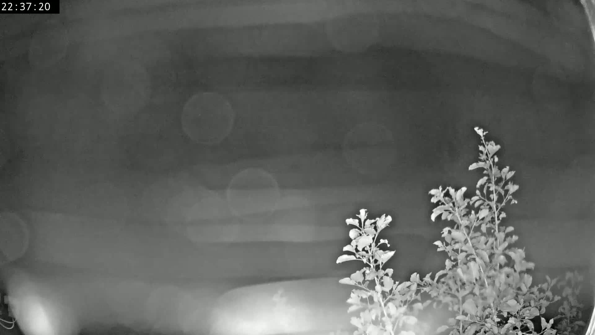 Les Fourgs, Haute Joux Live Cam - Pontarlier, Doubs, Bourgogne-Franche-Comté, France