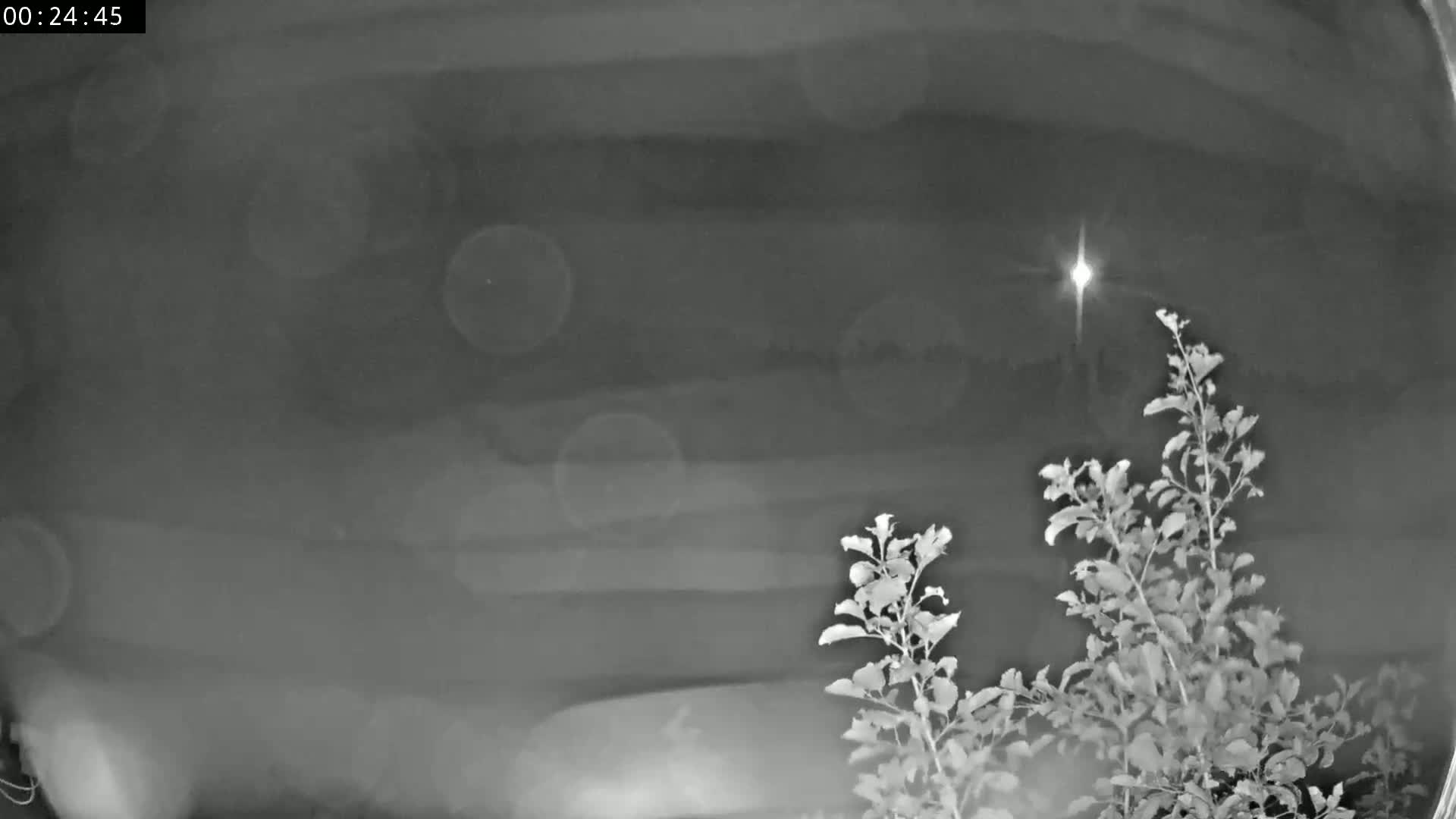 Les Fourgs, Haute Joux Live Cam - Pontarlier, Doubs, Bourgogne-Franche-Comté, France
