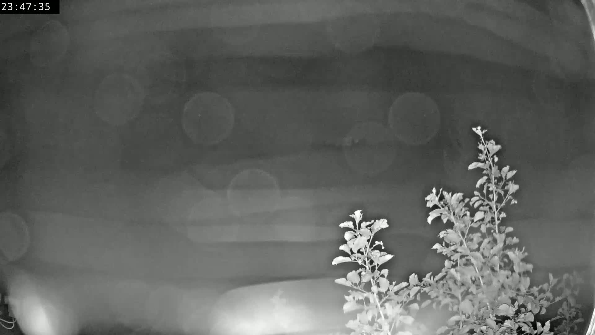 Les Fourgs, Haute Joux Live Cam - Pontarlier, Doubs, Bourgogne-Franche-Comté, France