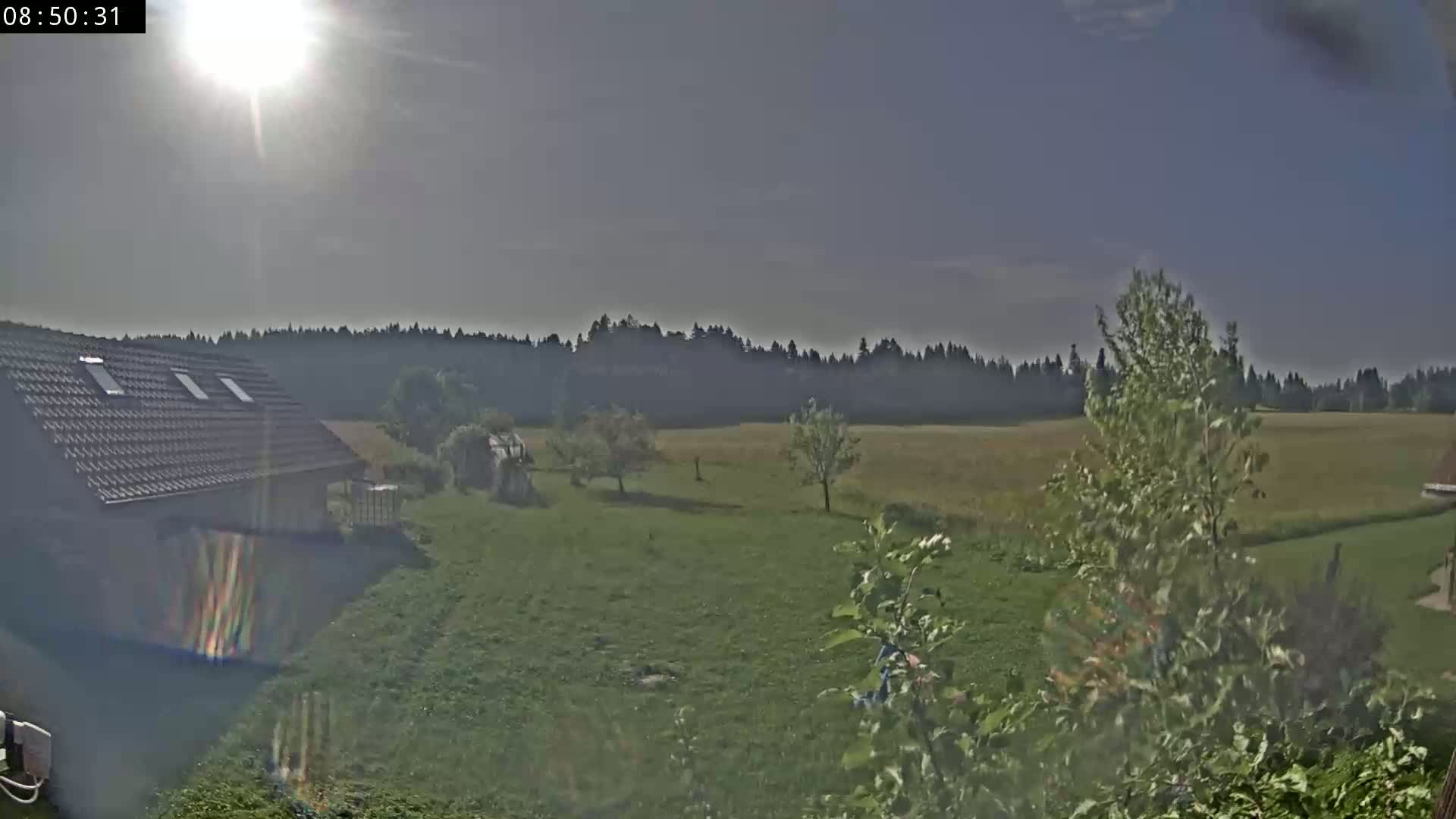 A sunny day shows a house with a gray roof and dormer windows overlooking a grassy yard, several trees, and a field beyond a line of trees in the distance.