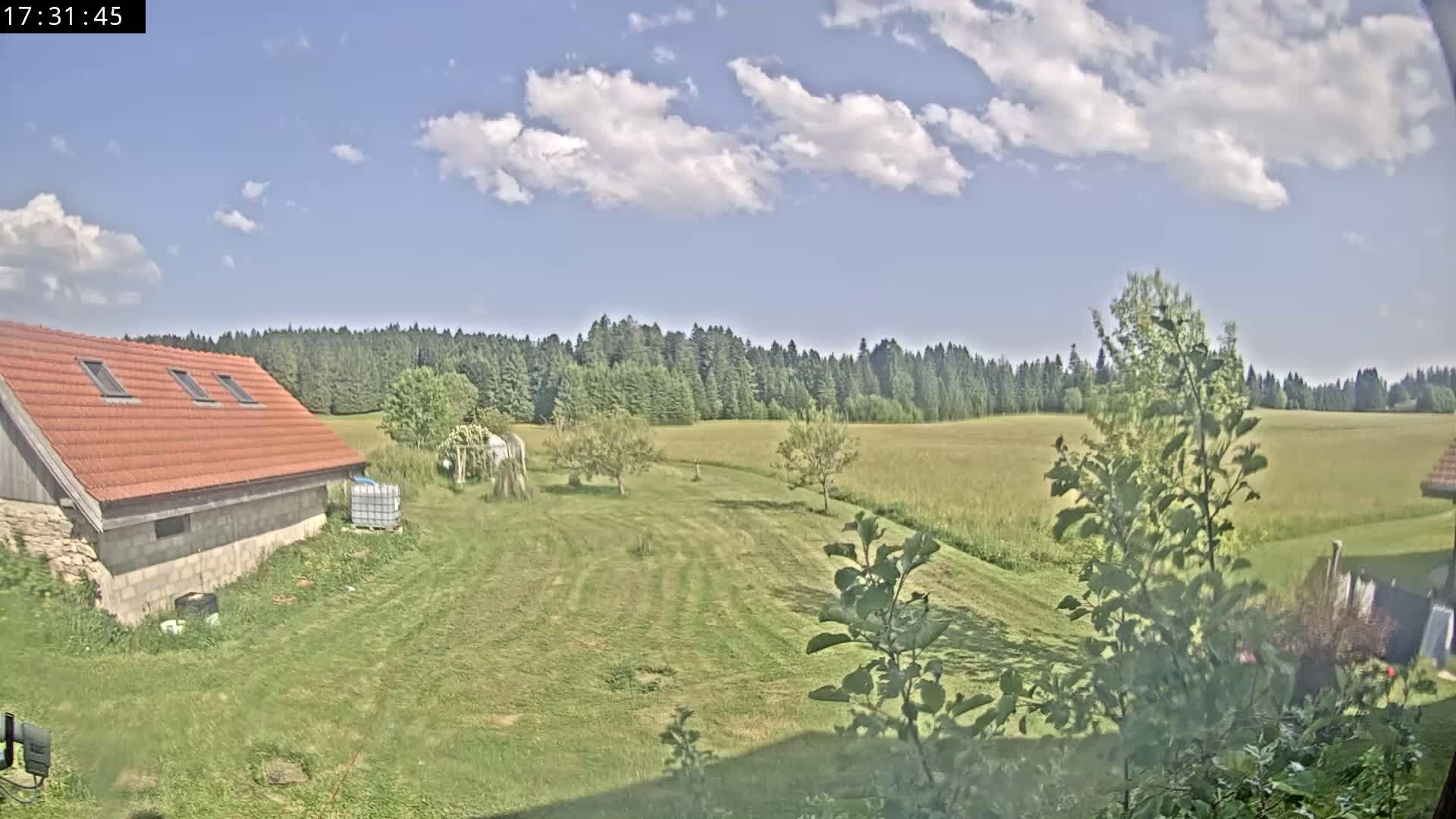 A red-roofed building sits on a grassy yard, overlooking a golden field and a dark green forest under a partly cloudy sky.