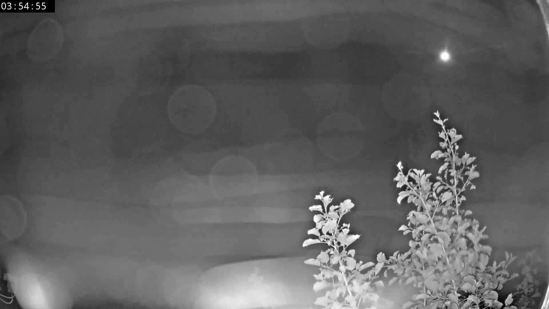 Les Fourgs, Haute Joux Live Cam - Pontarlier, Doubs, Bourgogne-Franche-Comté, France