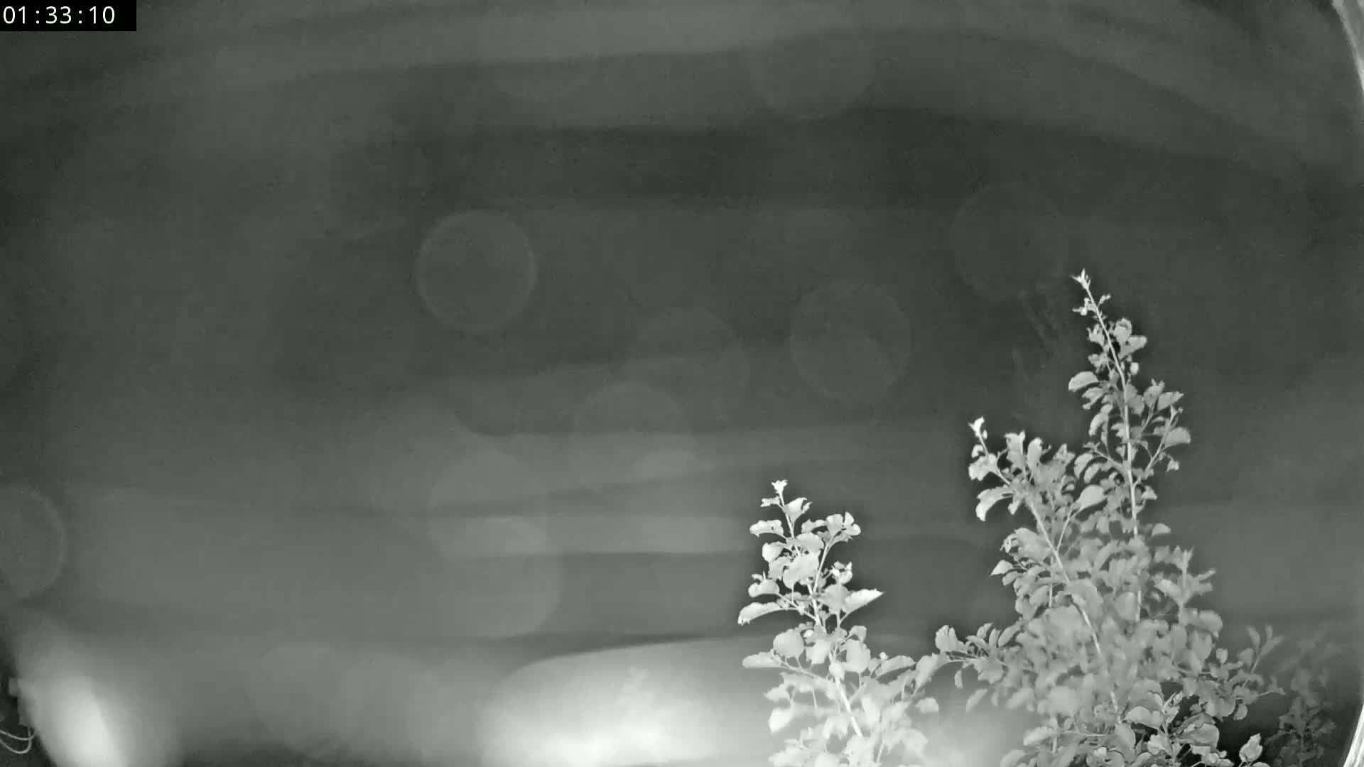 Les Fourgs, Haute Joux Live Cam - Pontarlier, Doubs, Bourgogne-Franche-Comté, France