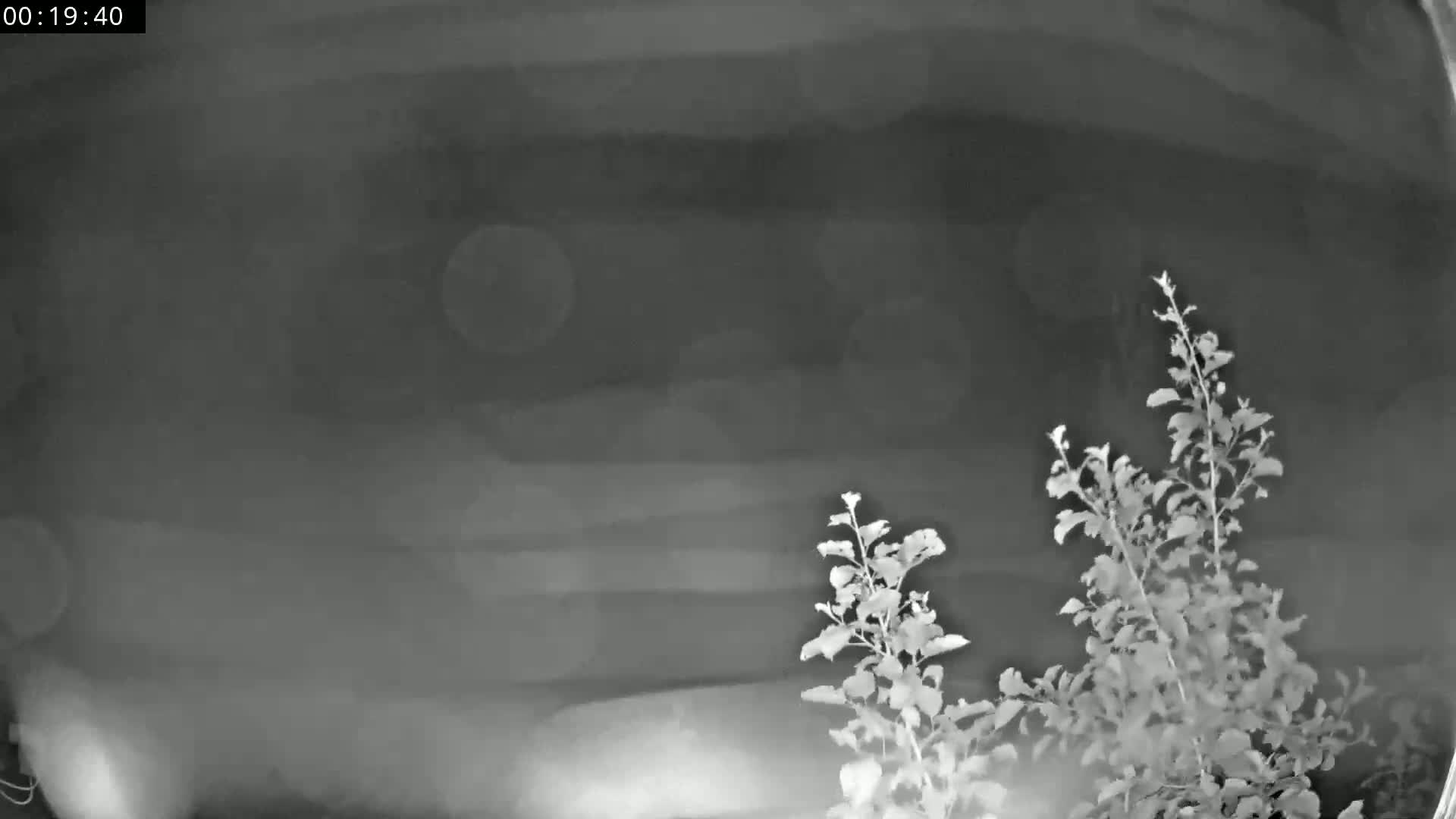 Les Fourgs, Haute Joux Live Cam - Pontarlier, Doubs, Bourgogne-Franche-Comté, France