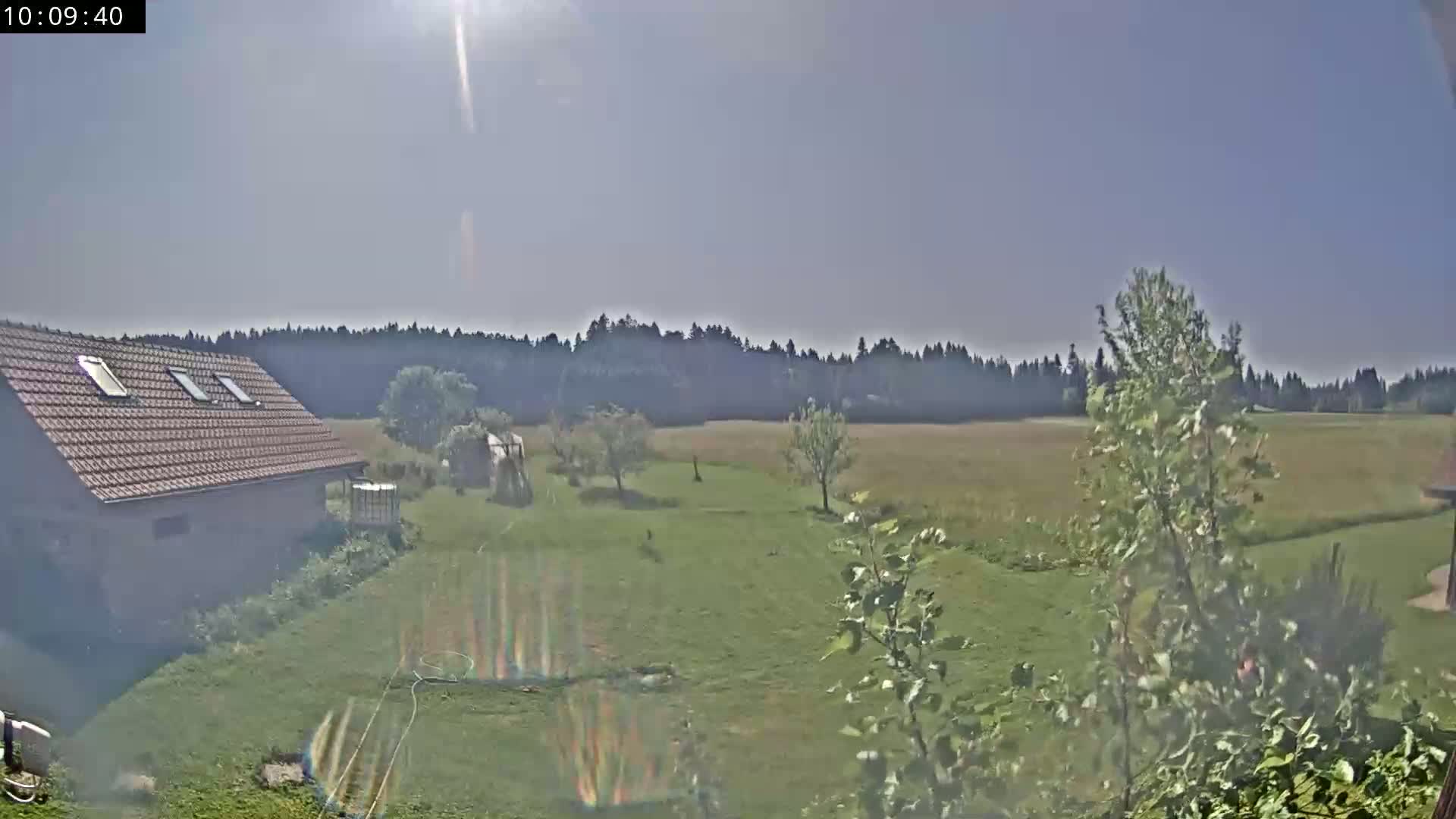 A sunny day reveals a tan house with skylights, a grassy yard with some trees, and a line of trees in the distance.