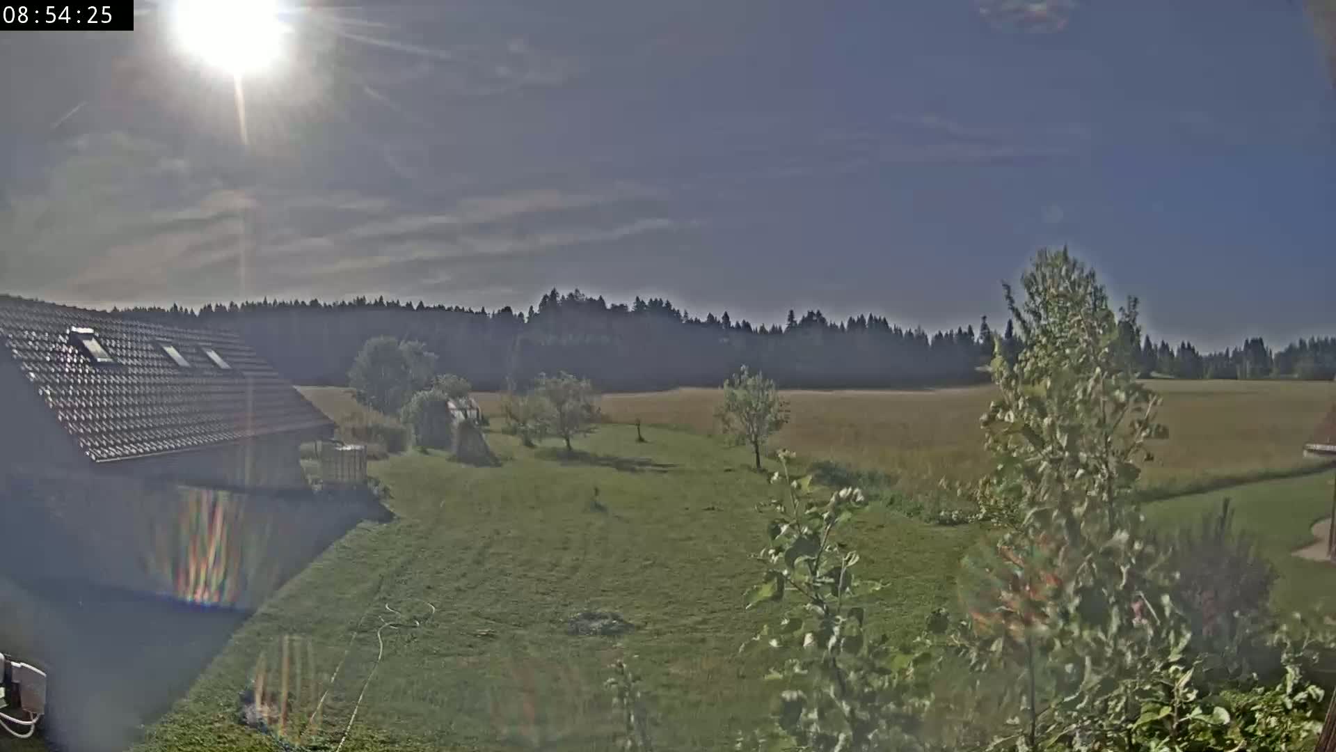 A partly sunny day reveals a house with a brown roof, a grassy yard containing a few trees, and a field extending to a distant line of trees under a mostly clear sky.