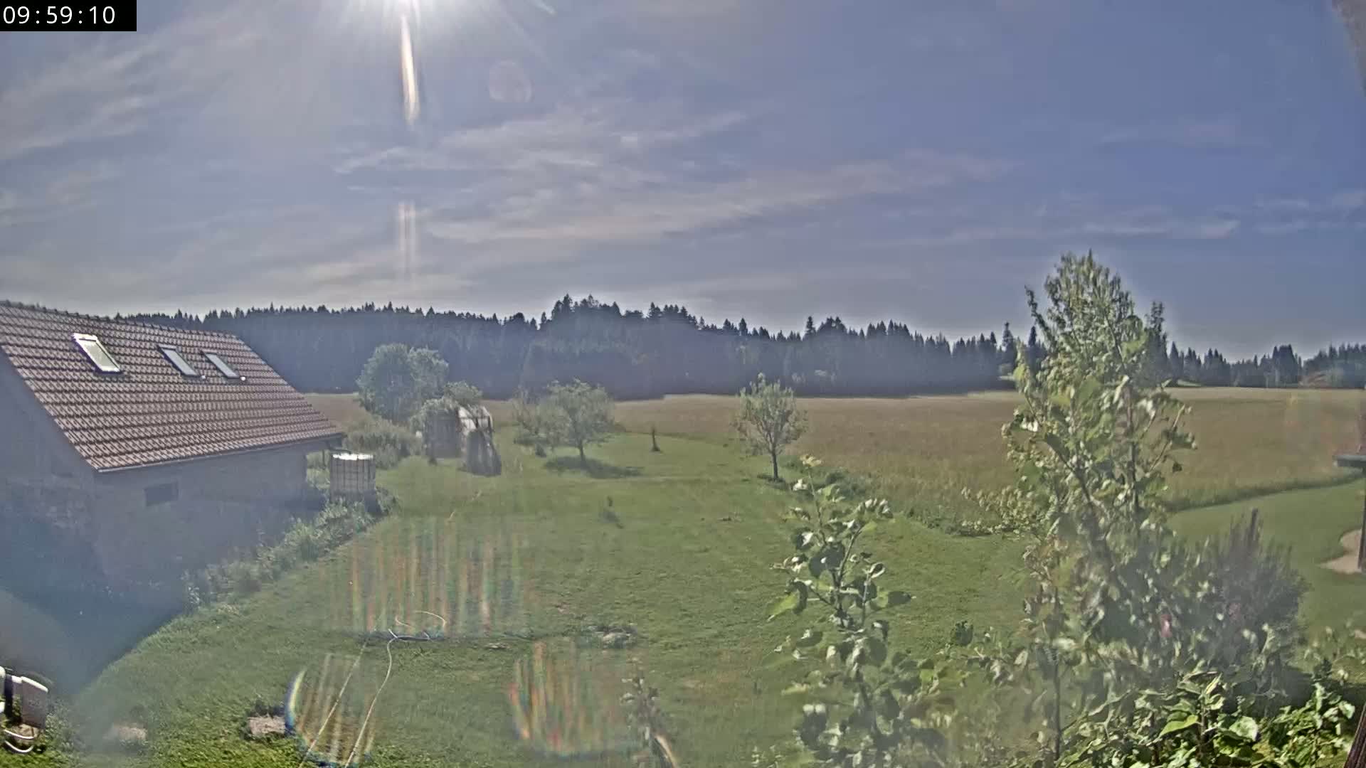 A sunny day reveals a house with a brown roof and several skylights overlooking a grassy yard, a field, and a line of trees in the distance.