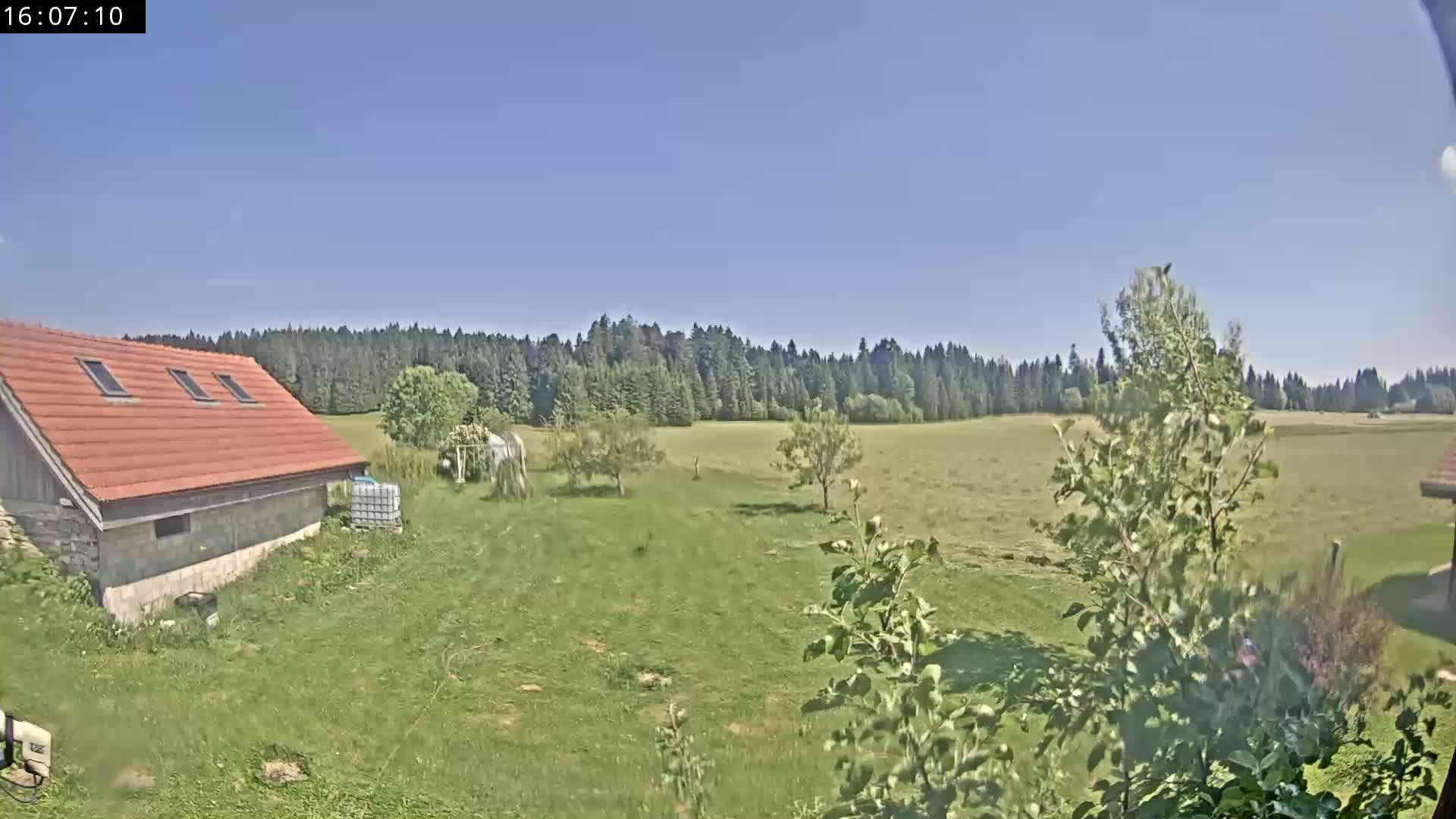 A red-roofed building sits beside a grassy field, beyond which is a line of dark green trees under a clear blue sky.