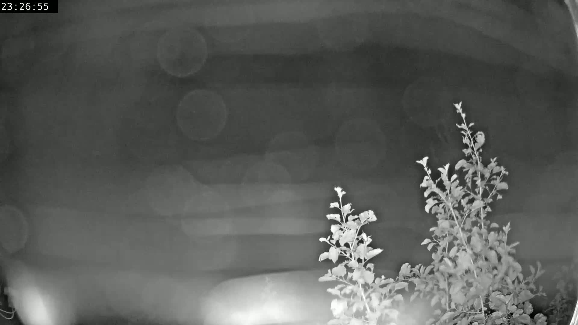 Les Fourgs, Haute Joux Live Cam - Pontarlier, Doubs, Bourgogne-Franche-Comté, France