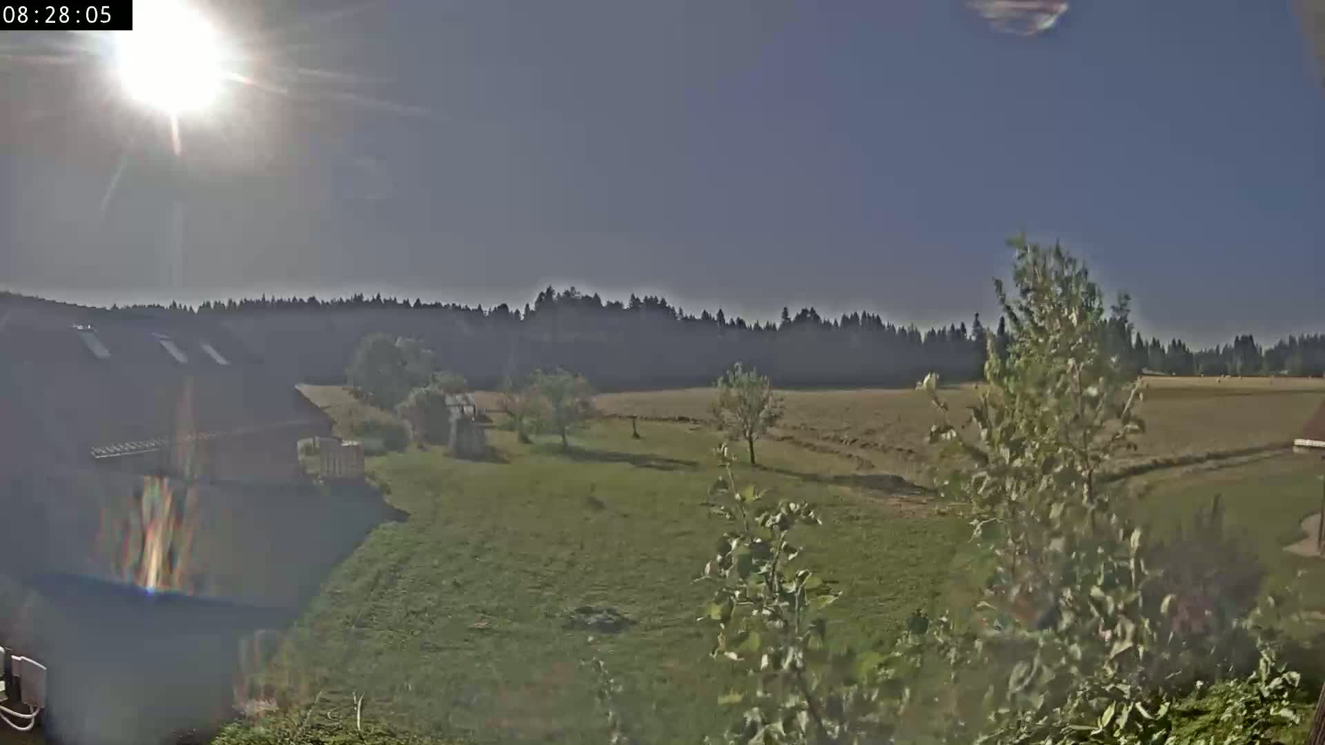 A sunny day reveals a grassy field with scattered trees, a house partially visible, and a line of trees in the distance.