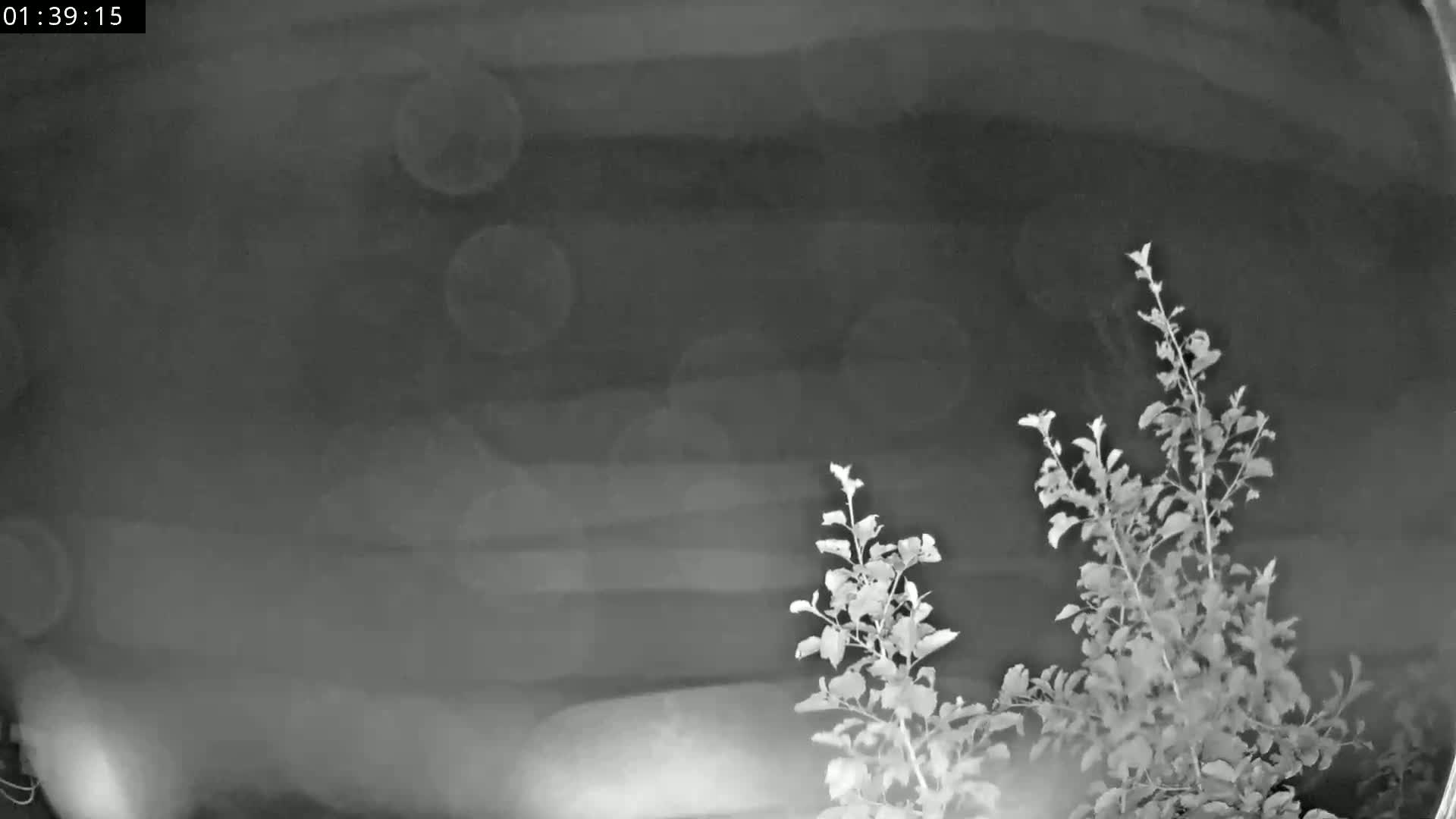 Les Fourgs, Haute Joux Live Cam - Pontarlier, Doubs, Bourgogne-Franche-Comté, France