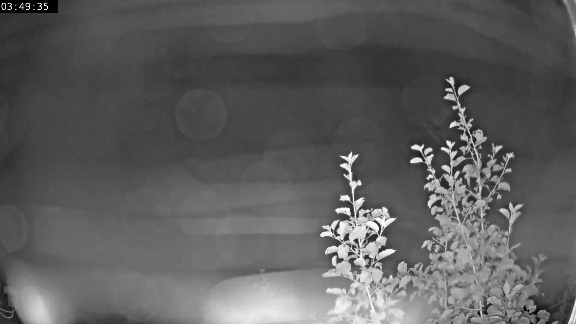 Les Fourgs, Haute Joux Live Cam - Pontarlier, Doubs, Bourgogne-Franche-Comté, France
