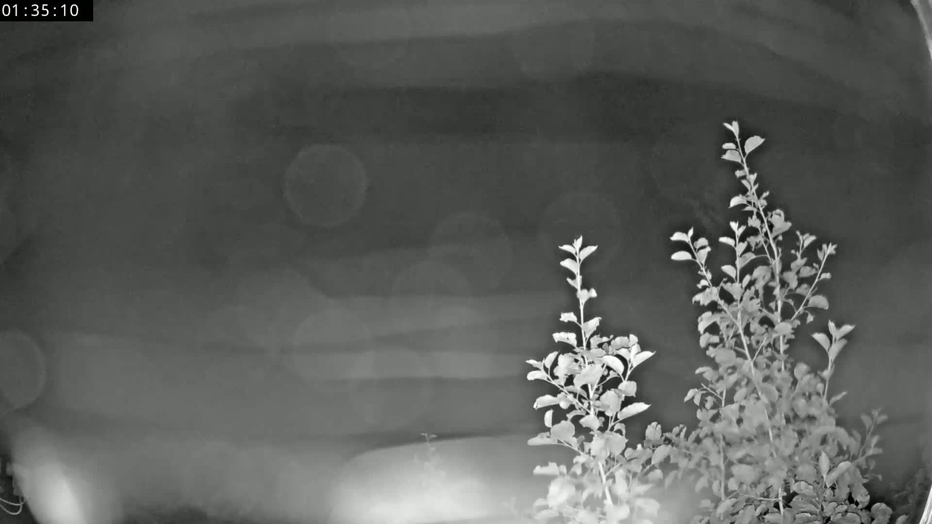 Les Fourgs, Haute Joux Live Cam - Pontarlier, Doubs, Bourgogne-Franche-Comté, France
