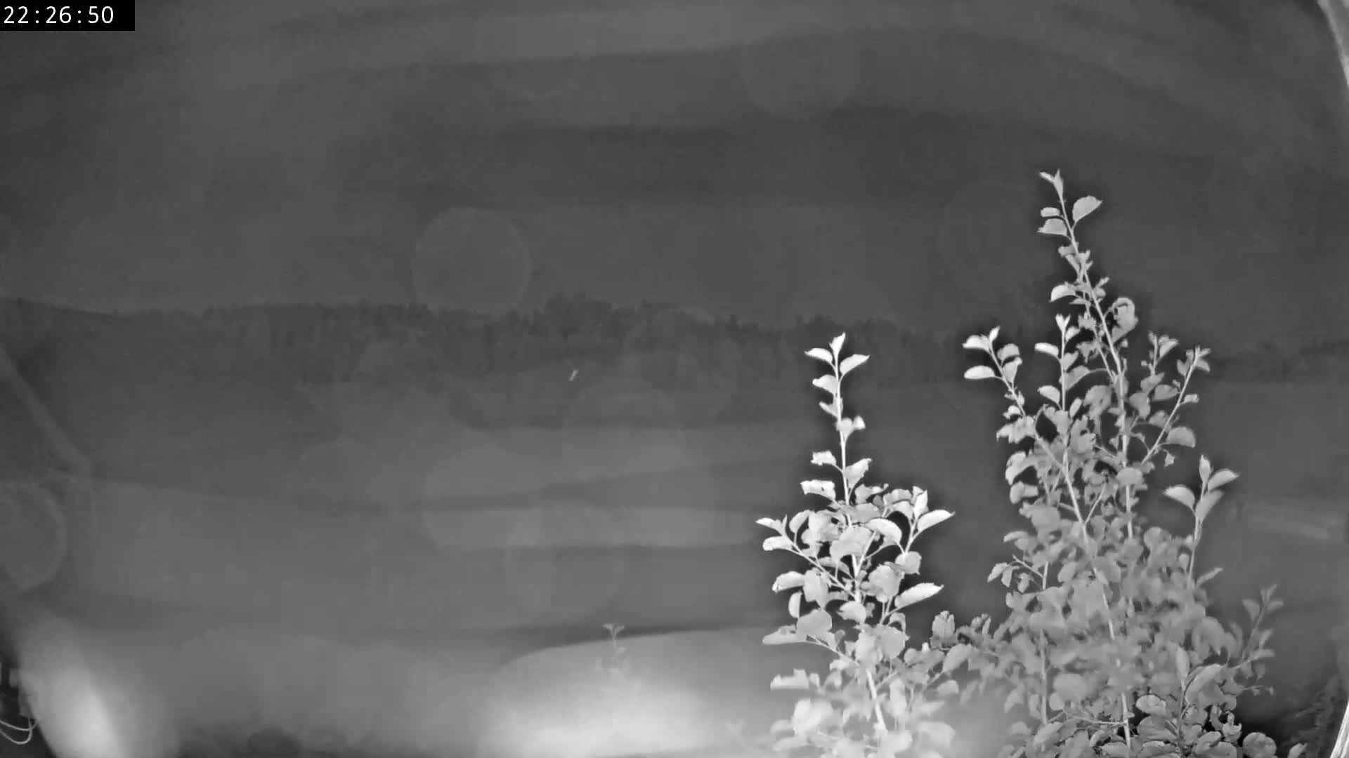 Les Fourgs, Haute Joux Live Cam - Pontarlier, Doubs, Bourgogne-Franche-Comté, France