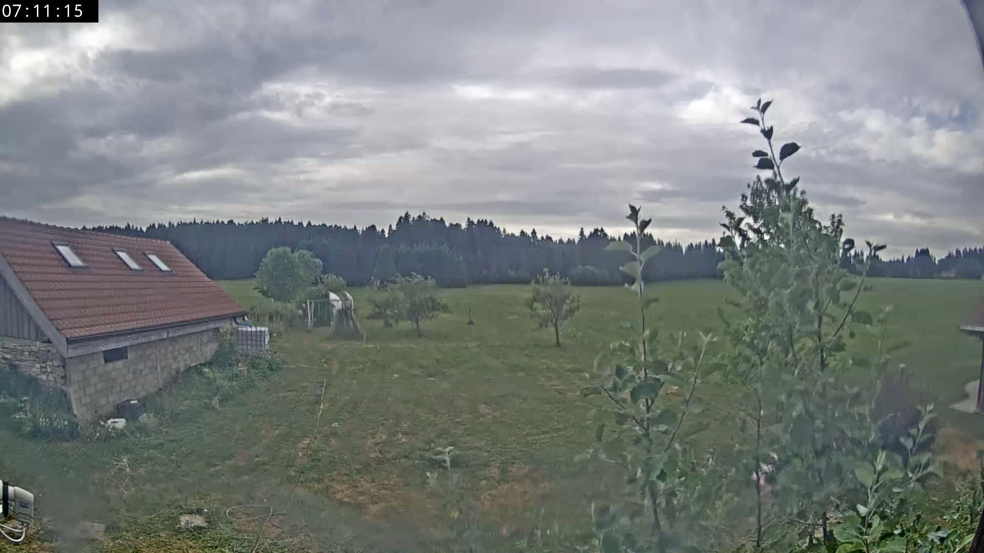 Les Fourgs, Haute Joux Live Cam - Pontarlier, Doubs, Bourgogne-Franche-Comté, France
