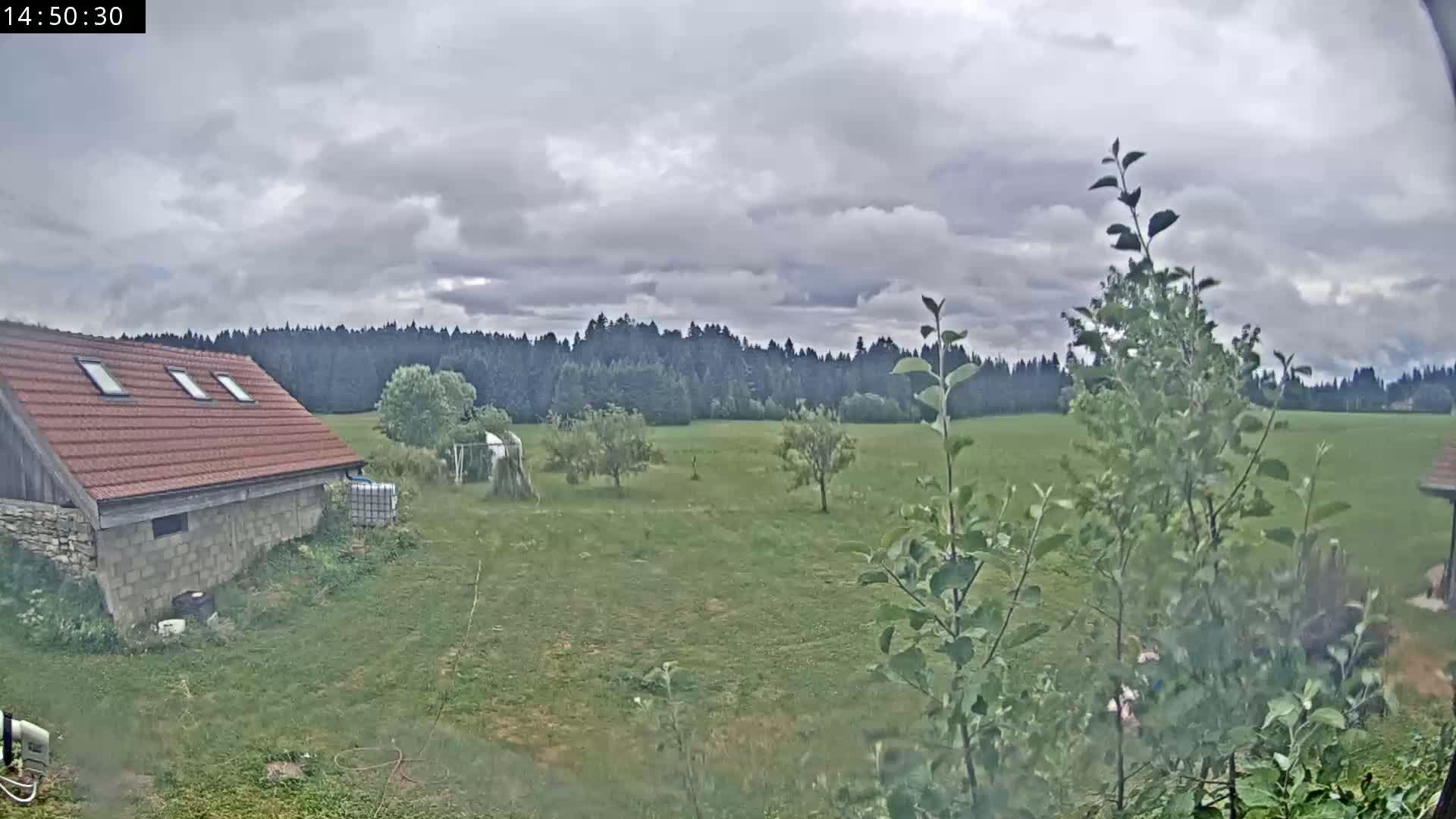 Les Fourgs, Haute Joux Live Cam - Pontarlier, Doubs, Bourgogne-Franche-Comté, France
