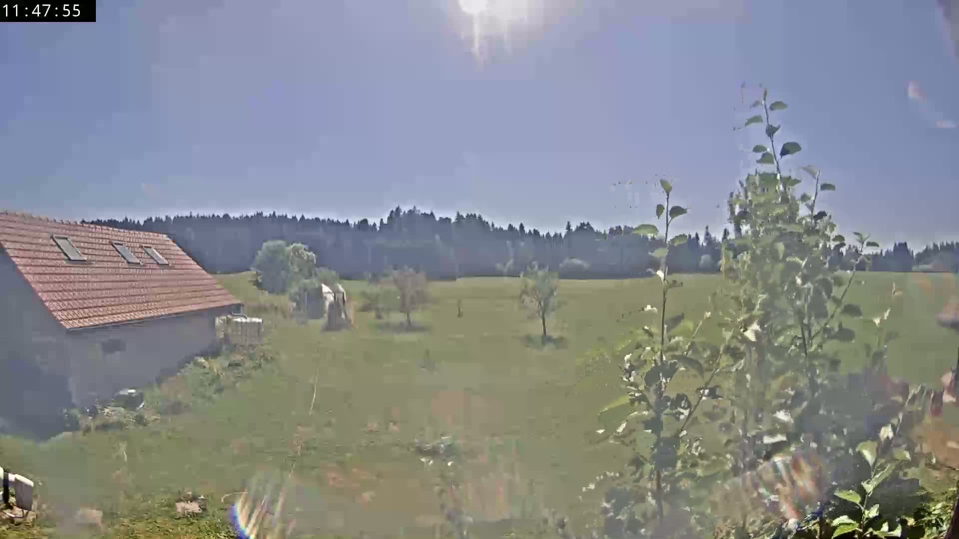 Les Fourgs, Haute Joux Live Cam - Pontarlier, Doubs, Bourgogne-Franche-Comté, France