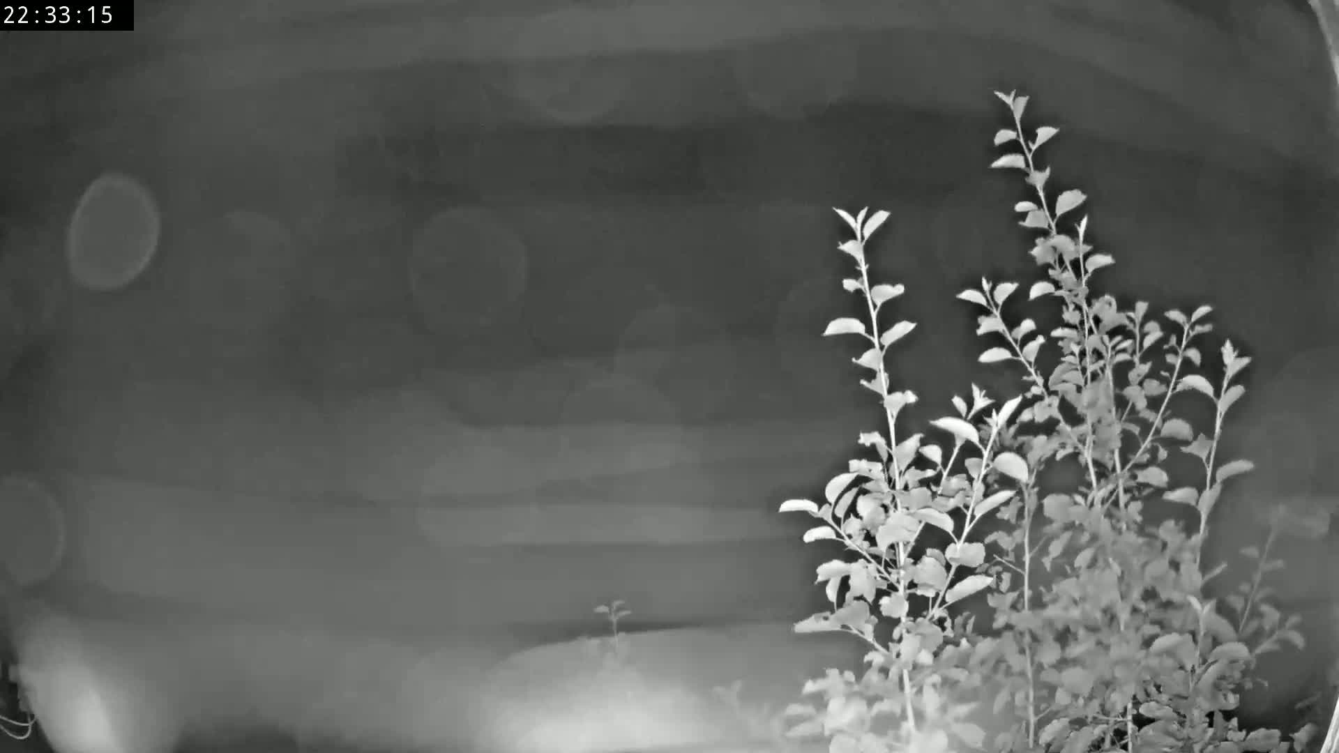 Les Fourgs, Haute Joux Live Cam - Pontarlier, Doubs, Bourgogne-Franche-Comté, France