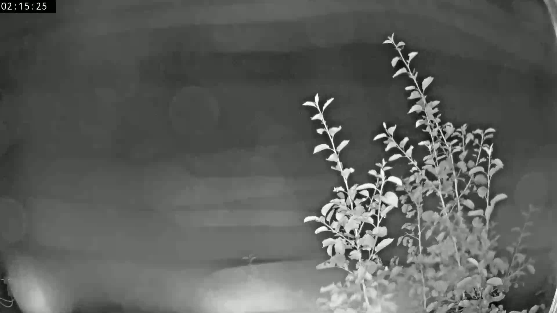 Les Fourgs, Haute Joux Live Cam - Pontarlier, Doubs, Bourgogne-Franche-Comté, France