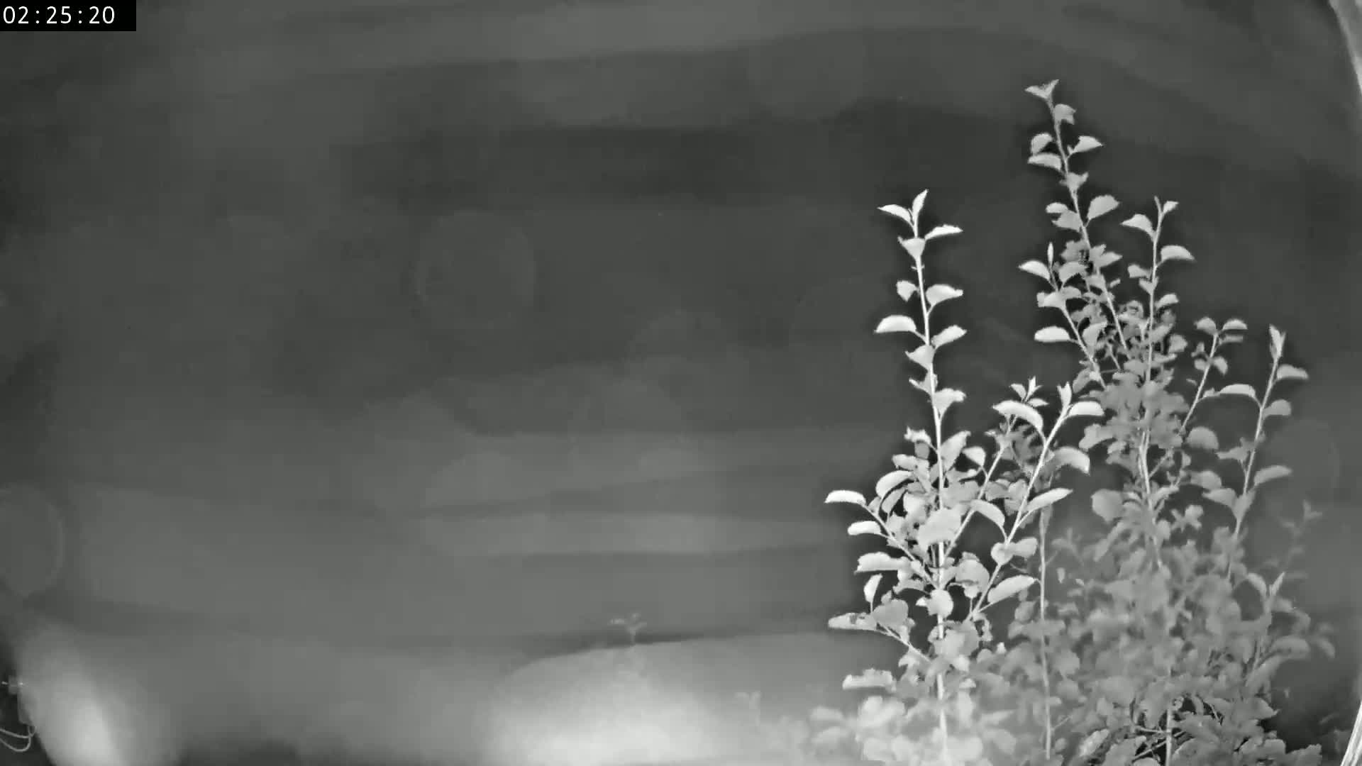 Les Fourgs, Haute Joux Live Cam - Pontarlier, Doubs, Bourgogne-Franche-Comté, France