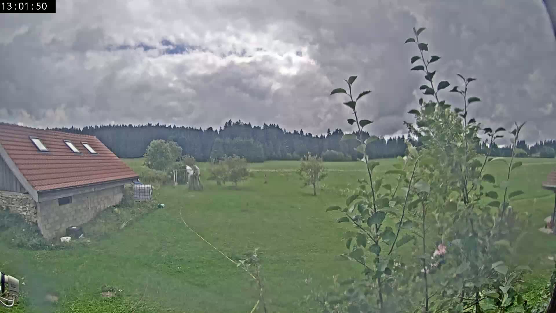 A sunny day reveals a grassy field with a few young trees, a house with a tiled roof, and a dark forest in the background.